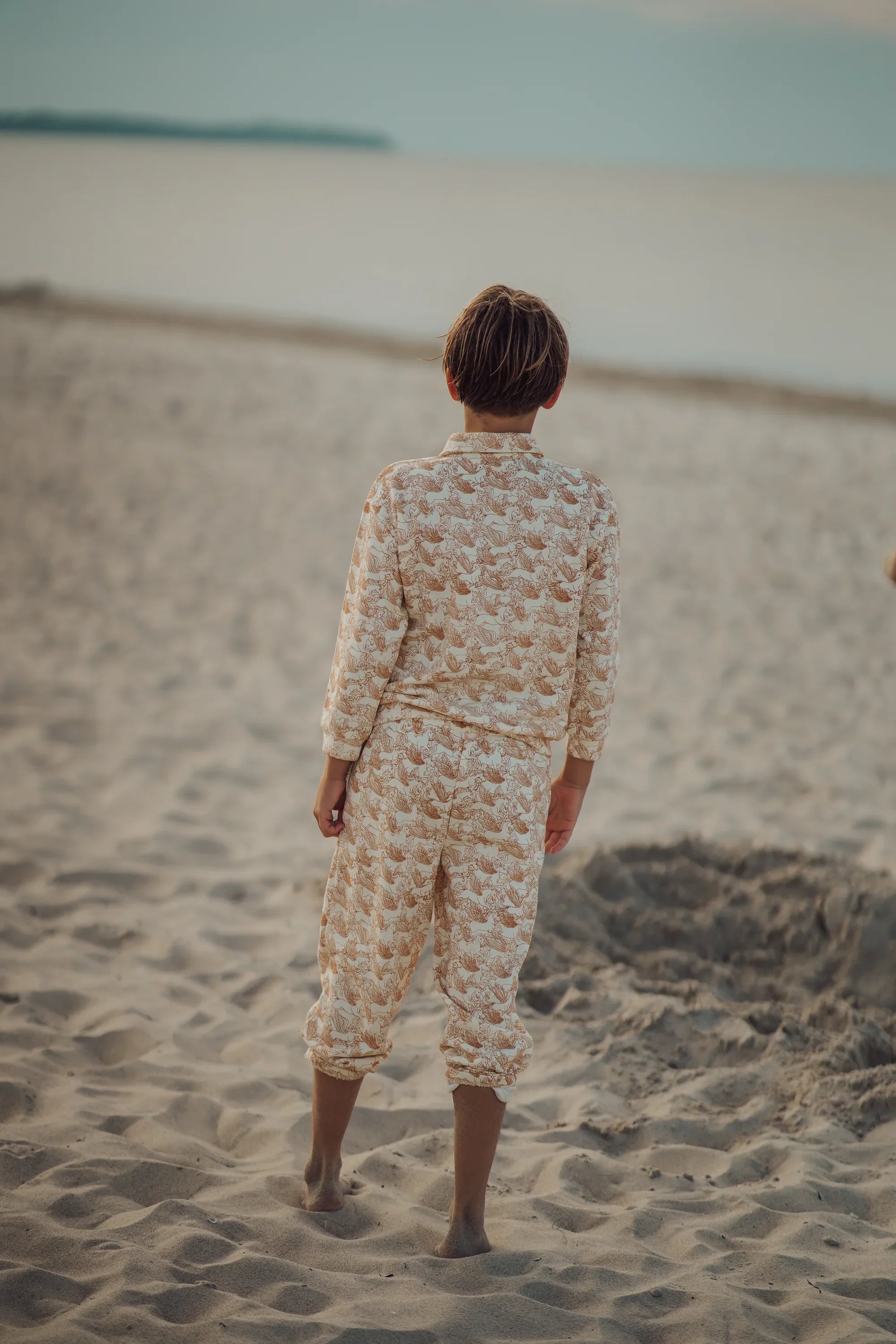 Tracksuit Jacket  | Organic Cotton Jersey  - Pegasus