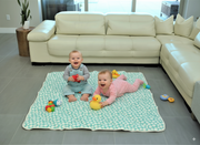 Organic Cotton Play Mat/quilted Blanket - Forest Friends/mint Pebbles Reversible