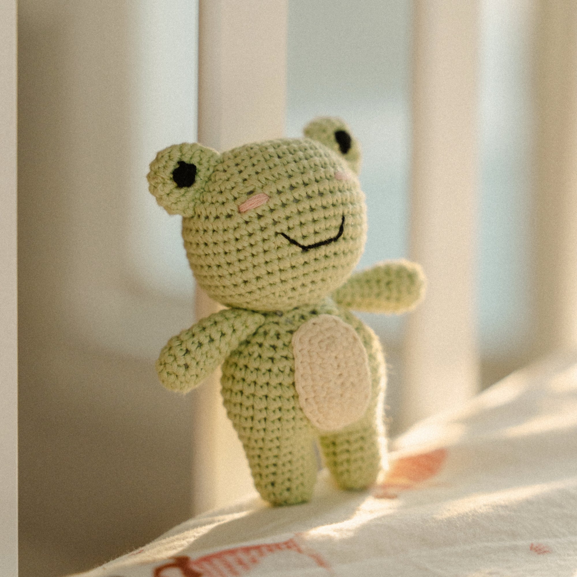 Georgie The Groggy Froggy