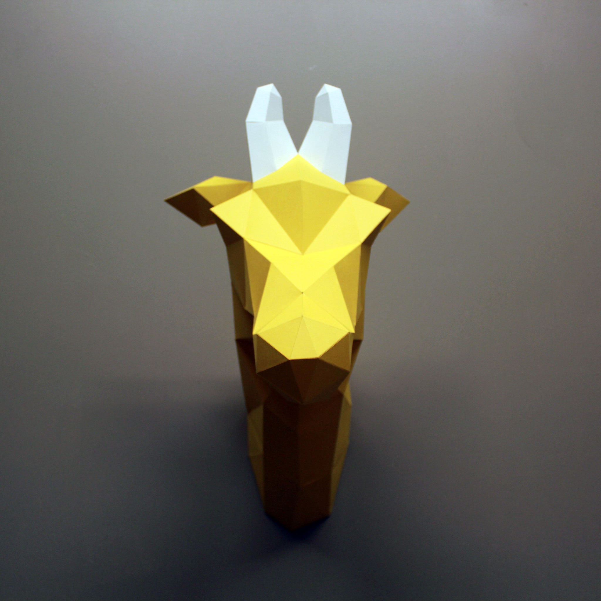 Louise The Giraffe | Diy Paper Craft Animal Kit