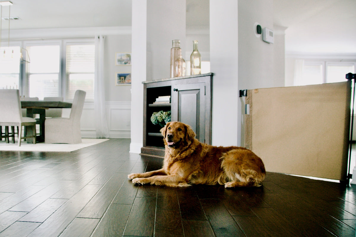 Oil Waxed Canvas Pet Safety Gate – Durable, Waterproof, Vintage-inspired | Fit Openings From 27.6" To 55" Wide And Stand 33"