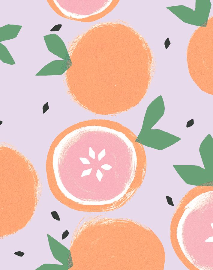 'grapefruit' Wallpaper By Tea Collection - Lavender