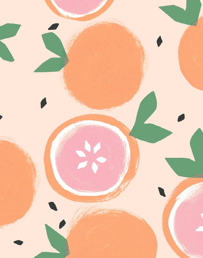 'grapefruit' Wallpaper By Tea Collection - Peach