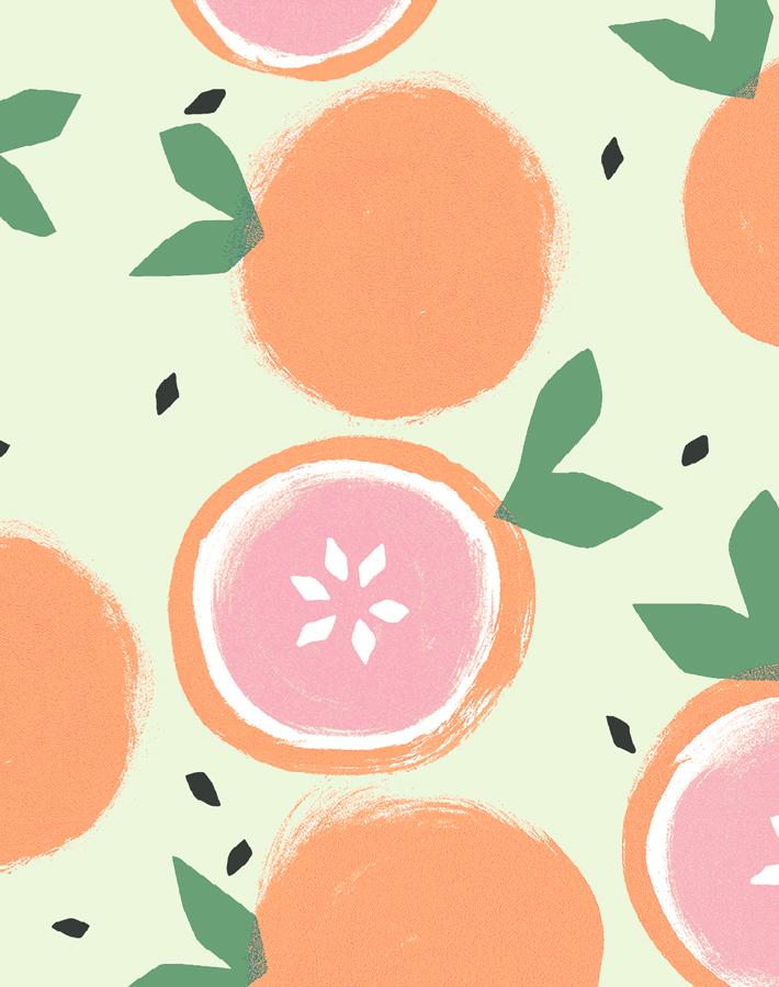 'grapefruit' Wallpaper By Tea Collection - Pistachio