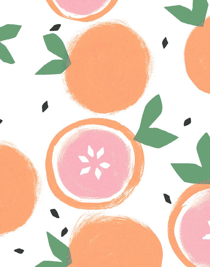 'grapefruit' Wallpaper By Tea Collection - White
