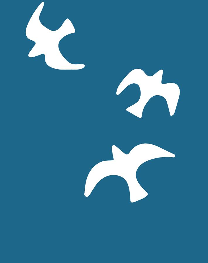 'gulls' Wallpaper By Tea Collection - Cadet Blue
