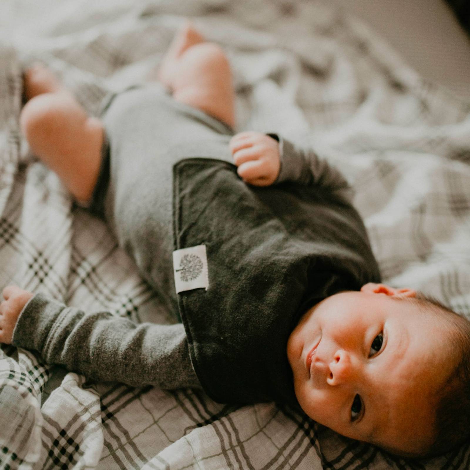 Basics Bandana Bib Set (8 Pack)