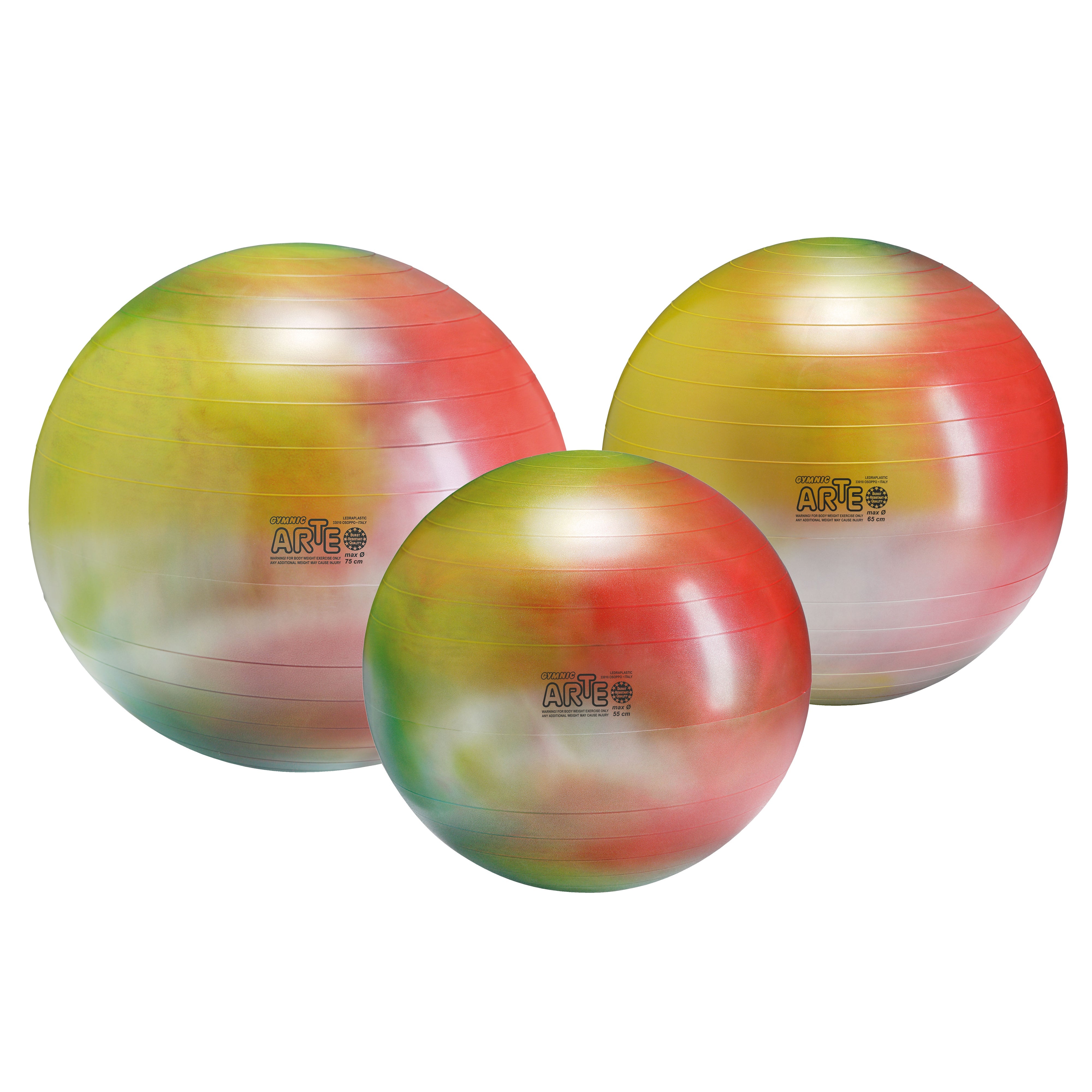 Gymnic Arte BRQ Physiotherapy & Fitness Balls