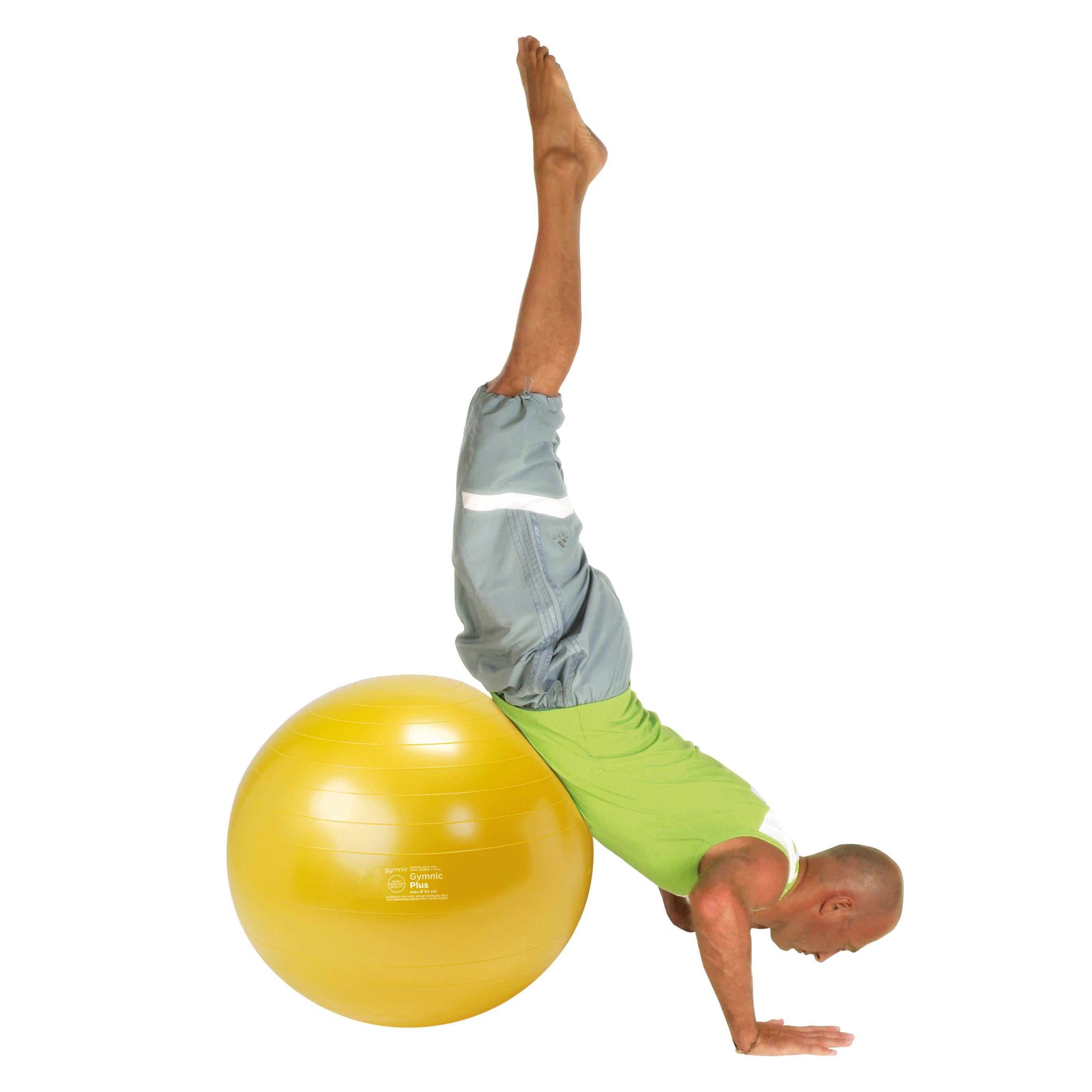 Gymnic Plus BRQ Physiotherapy Balls