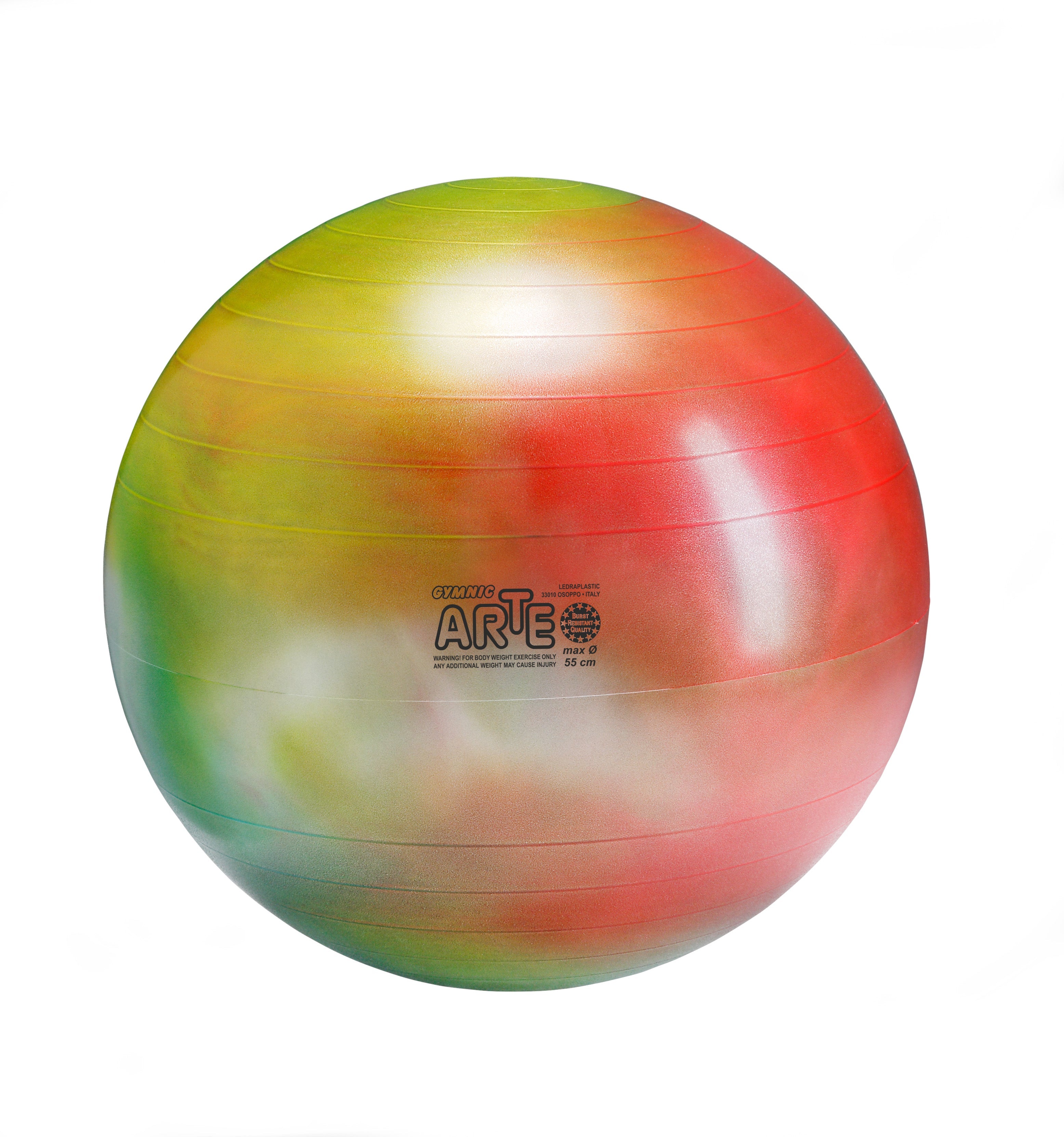 Gymnic Arte BRQ Physiotherapy & Fitness Balls