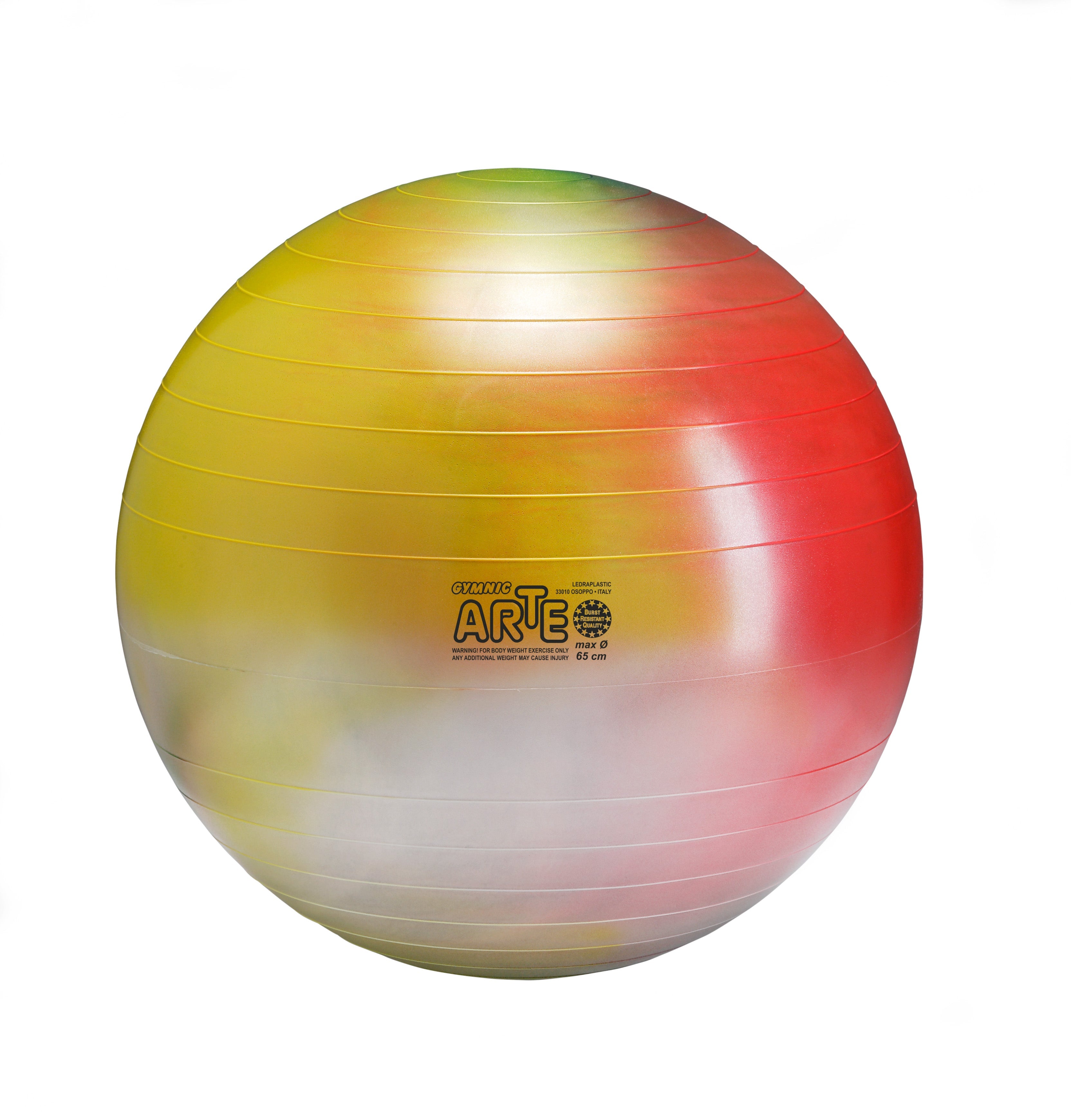 Gymnic Arte BRQ Physiotherapy & Fitness Balls