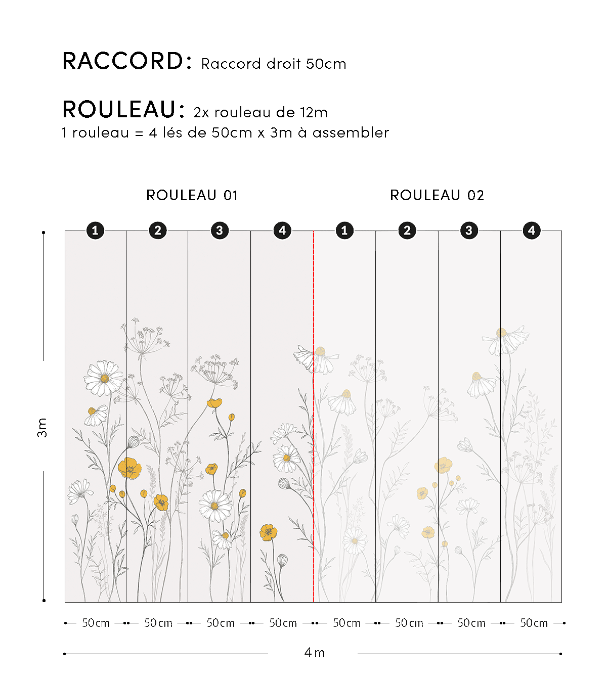 Chamomile - Panoramic Wallpaper - Chamomile Flowers