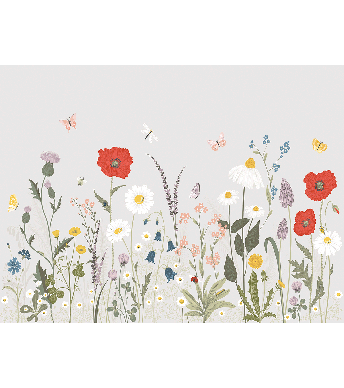 Wildflowers - Panoramic Wallpaper - Field Of Flowers