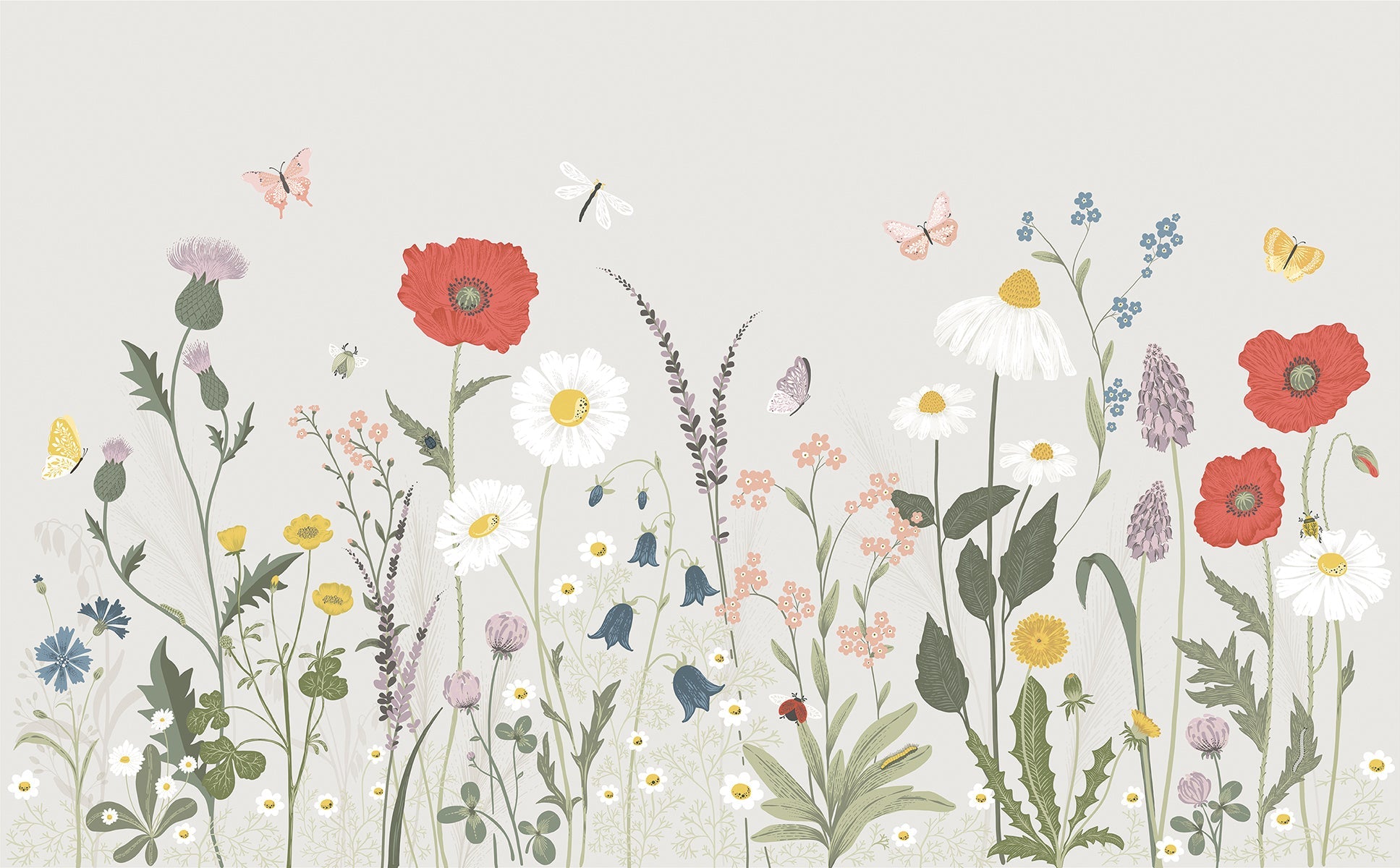 Wildflowers - Panoramic Wallpaper Sample, Across Fields