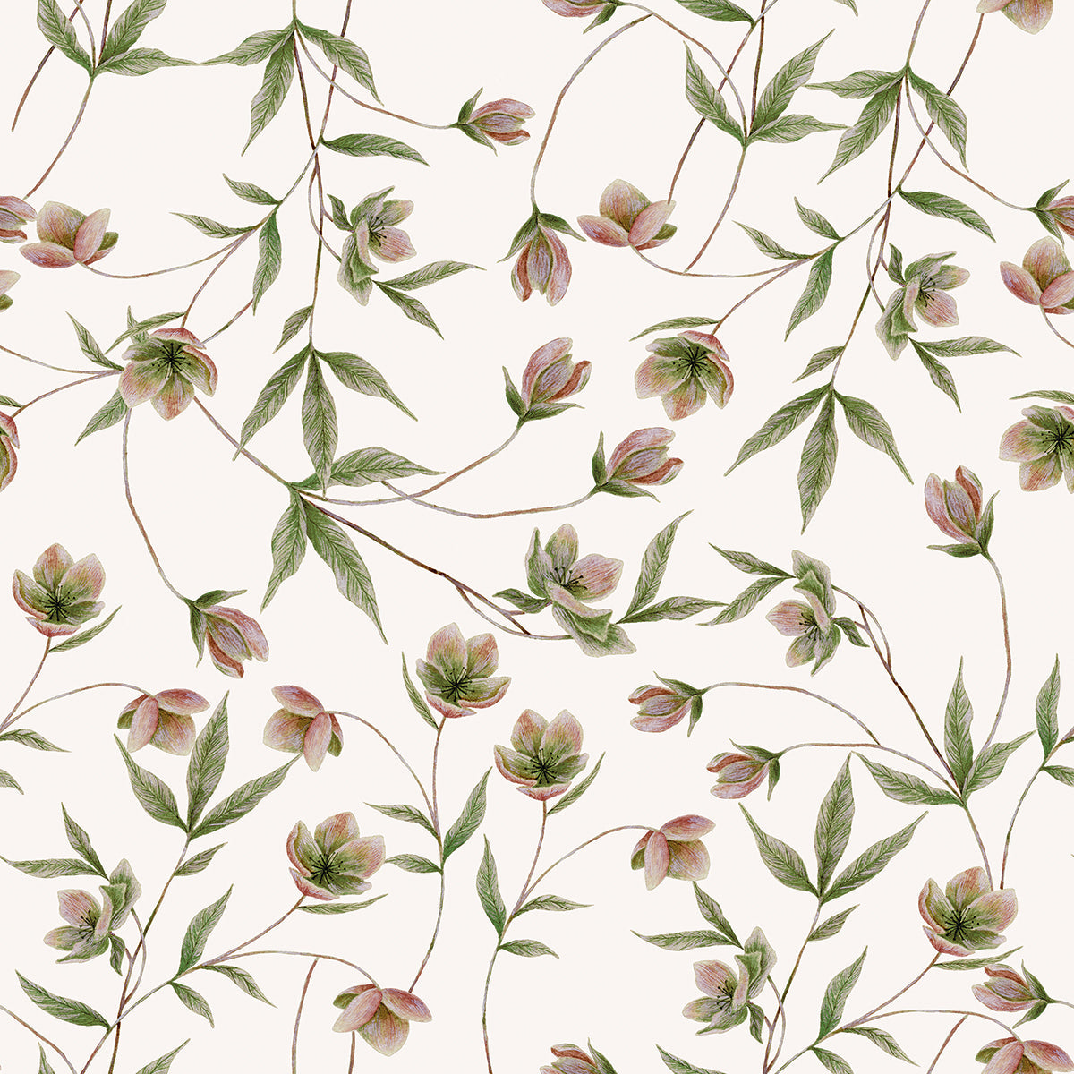 Wellington - Sample Wallpaper, Hellebores (pink)