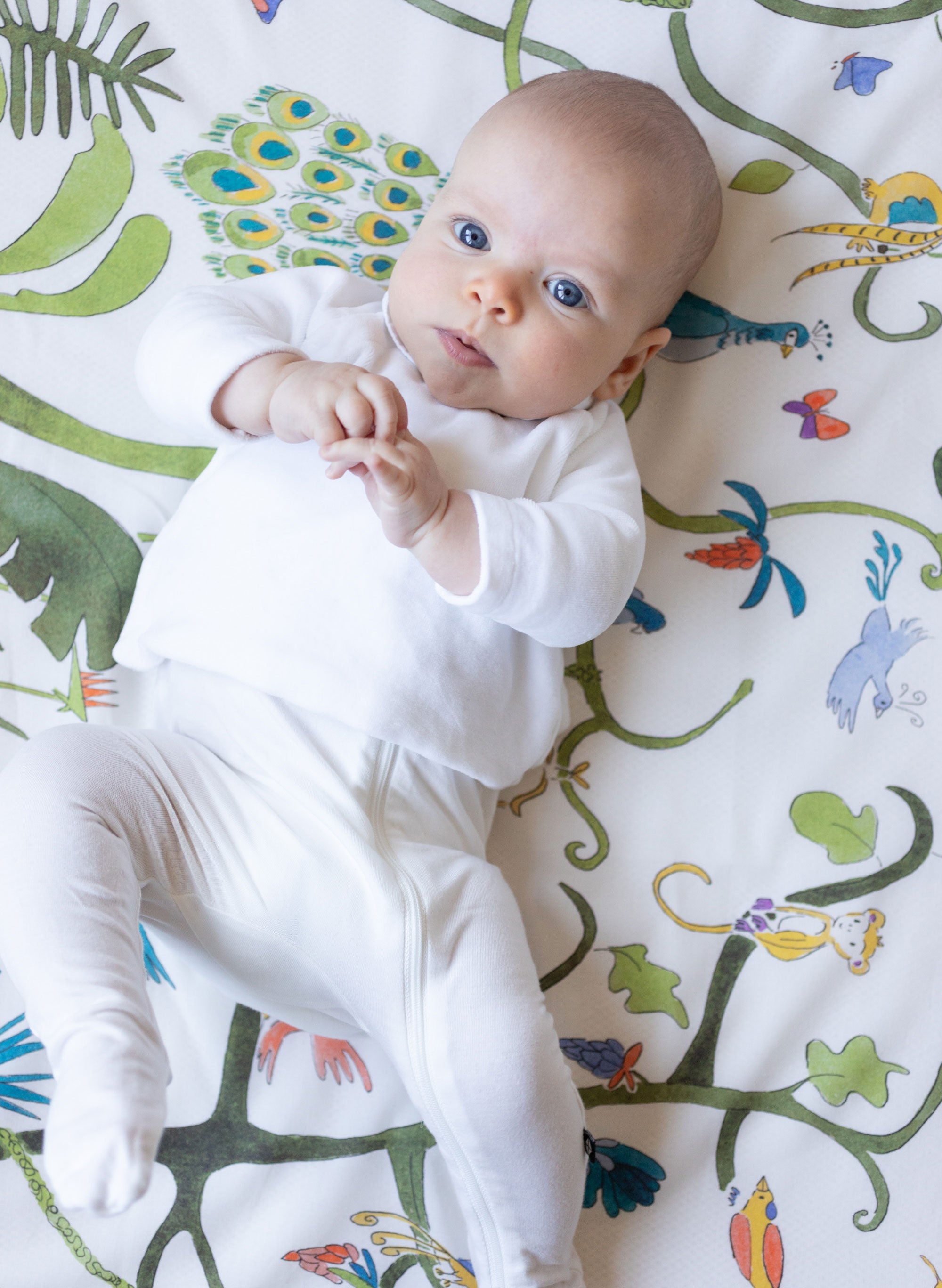 Newborn Trousseau