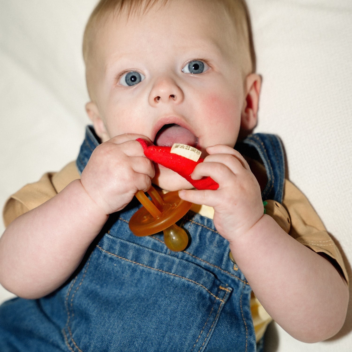 Charly the Chili Pacifier Clip