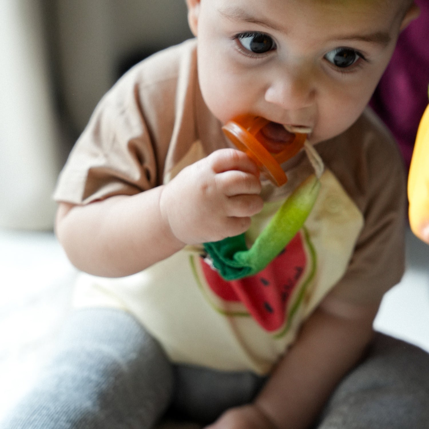 Luke the Leek Pacifier Clip