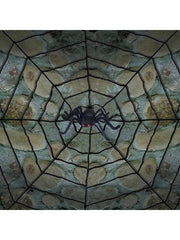 Spiderweb With Spider Prop