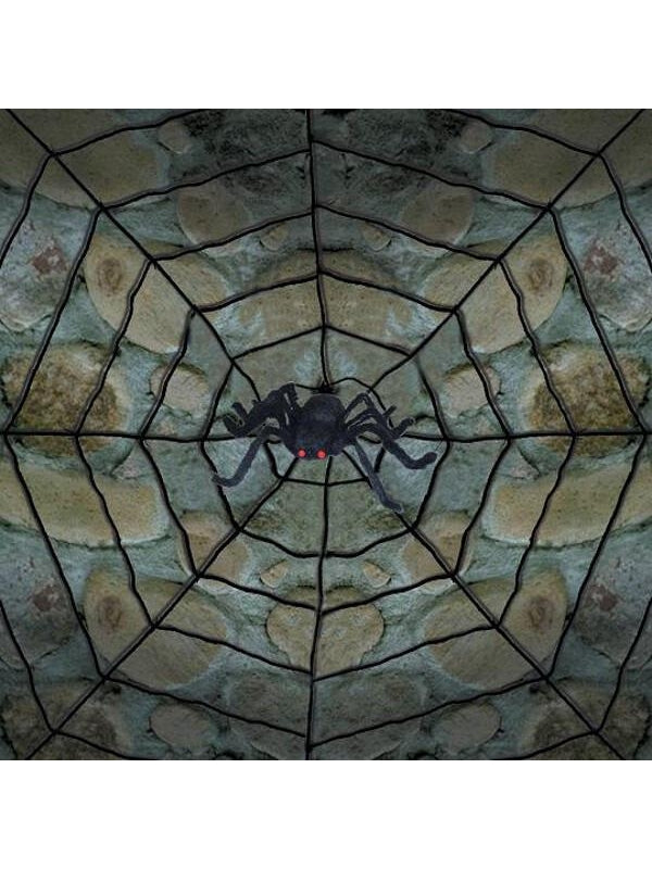 Spiderweb With Spider Prop