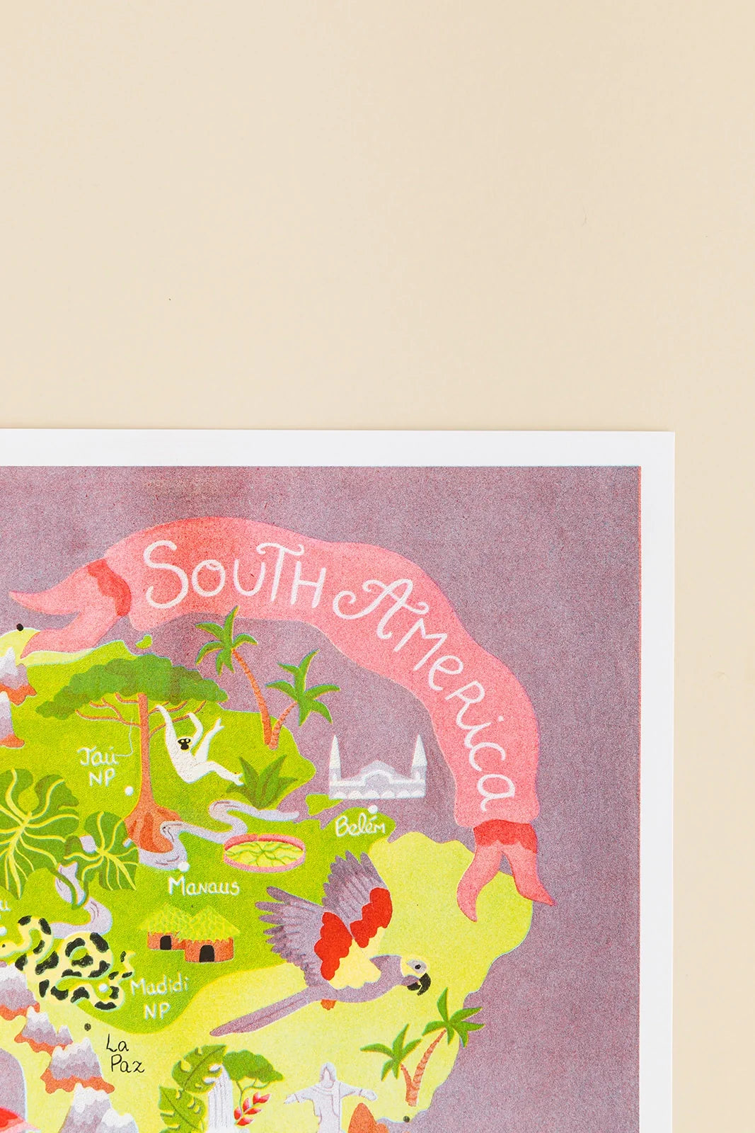 Map Of South America Risograph Print
