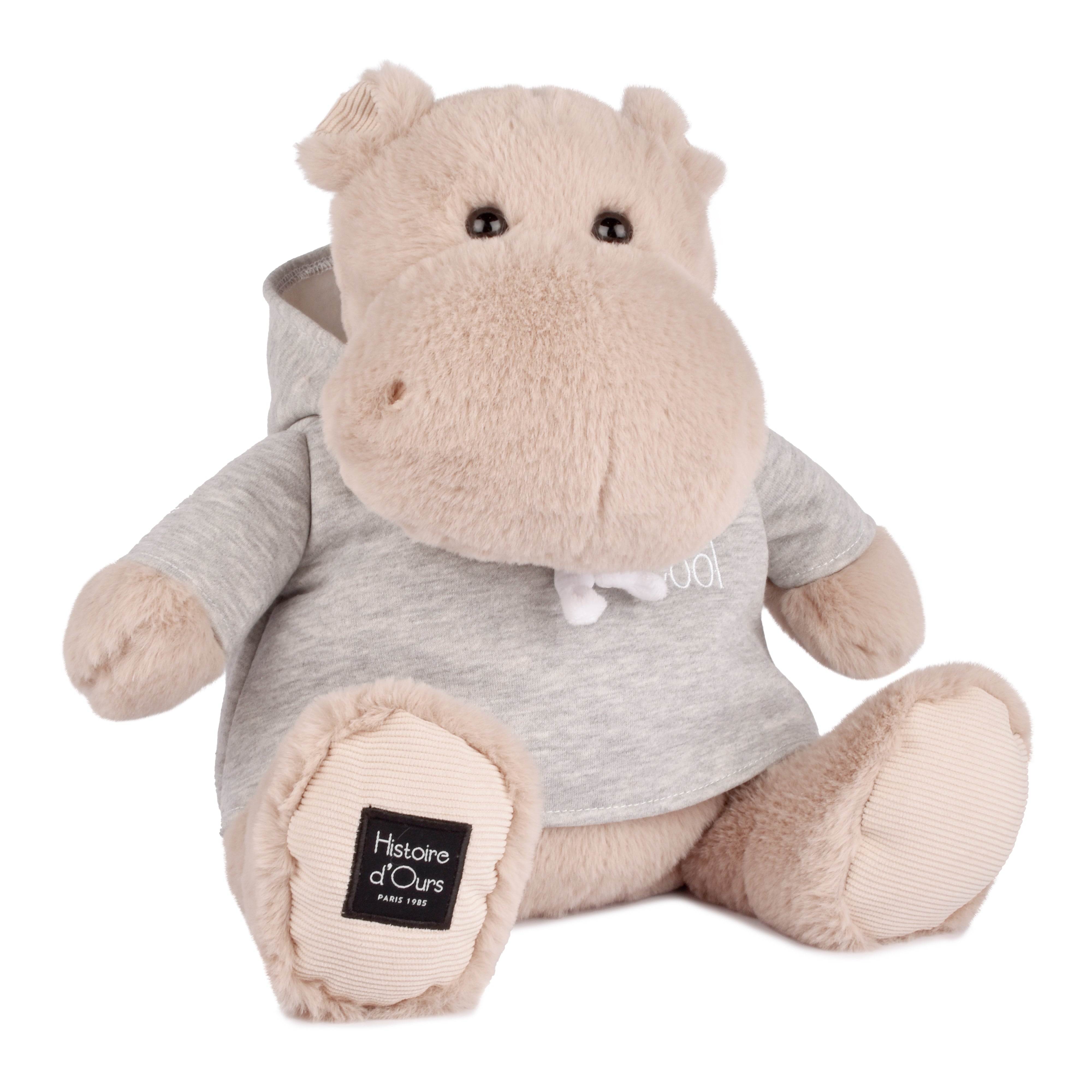 Histoire D’ours Hippo: Chilly Max