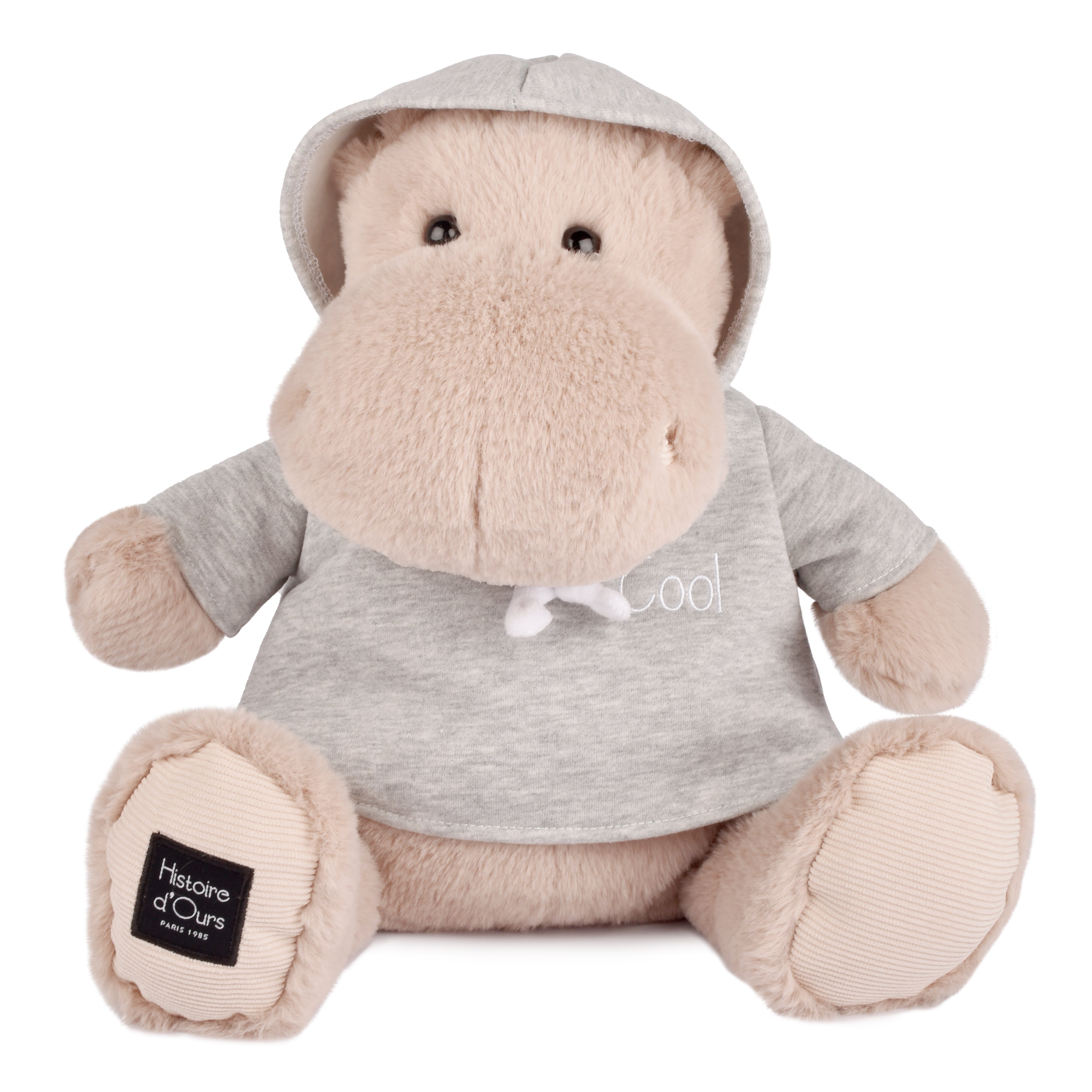Histoire D’ours Hippo: Chilly Max