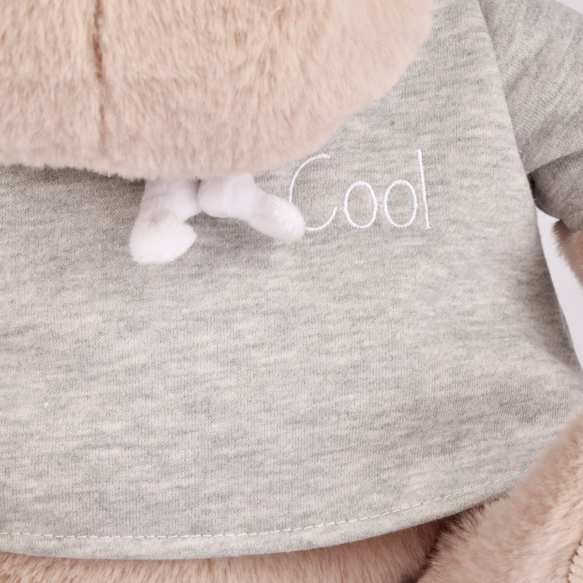 Histoire D’ours Hippo: Chilly Max