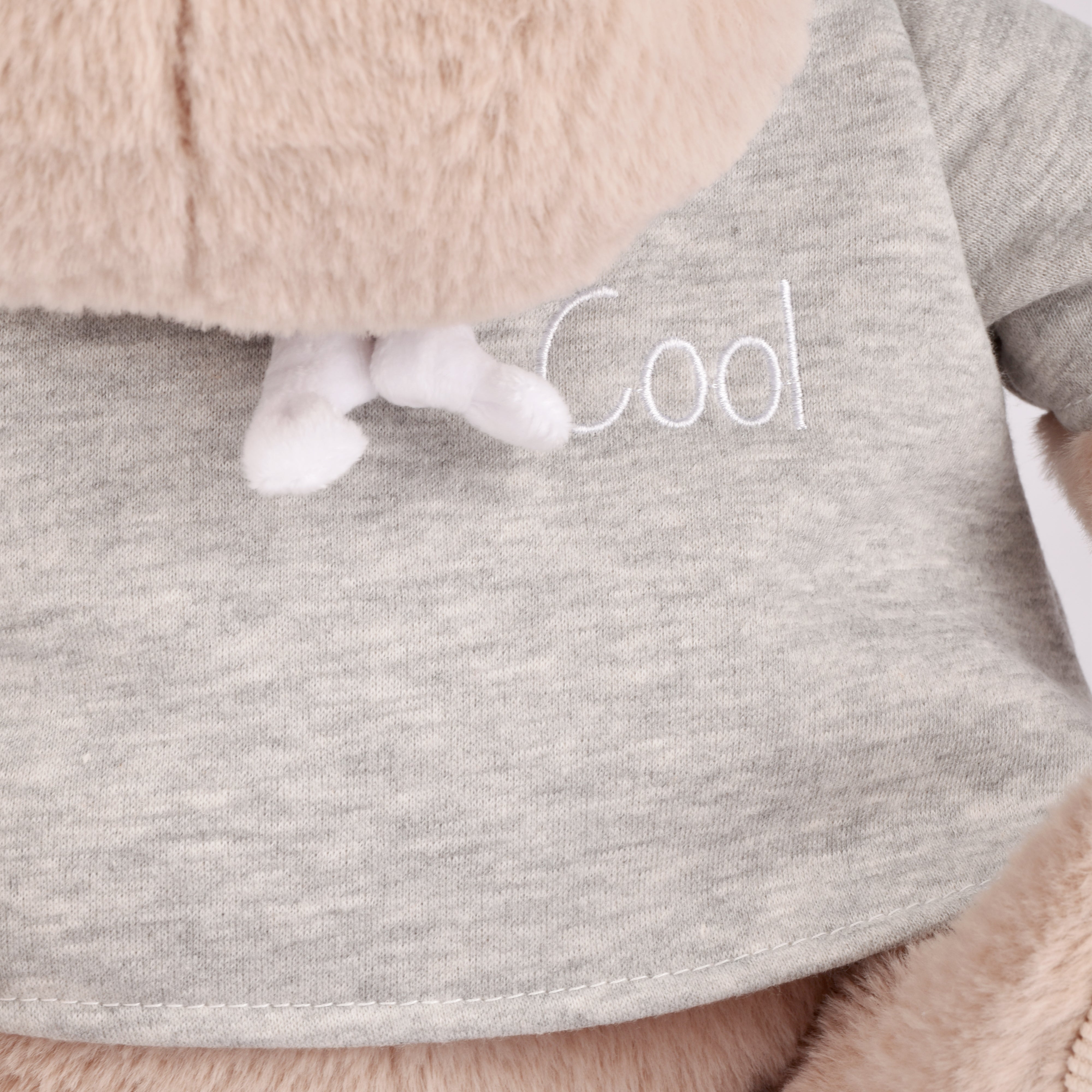 Histoire D’ours Hippo: Chilly Max