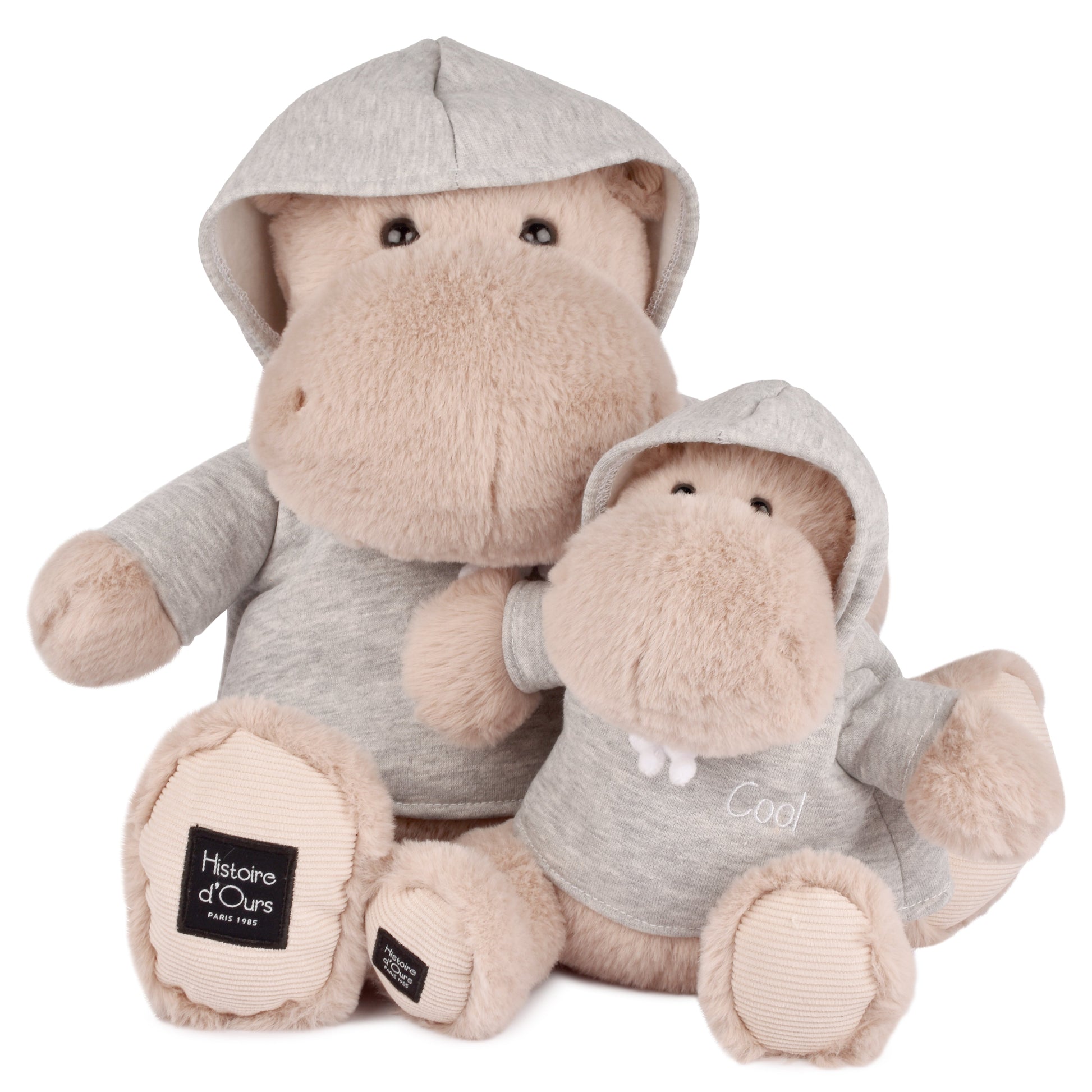 Histoire D’ours Hippo: Chilly Max