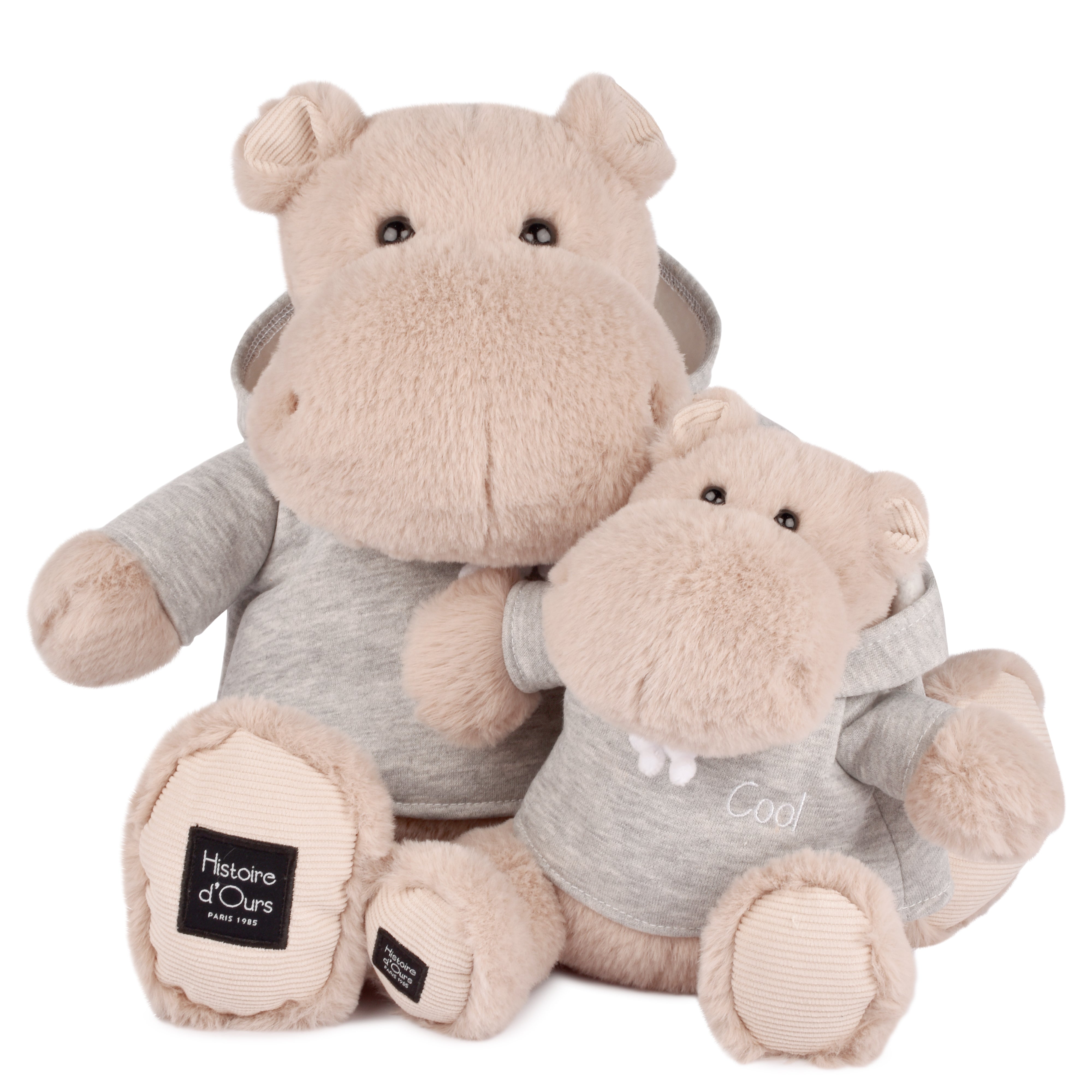 Histoire D’ours Hippo: Chilly Max