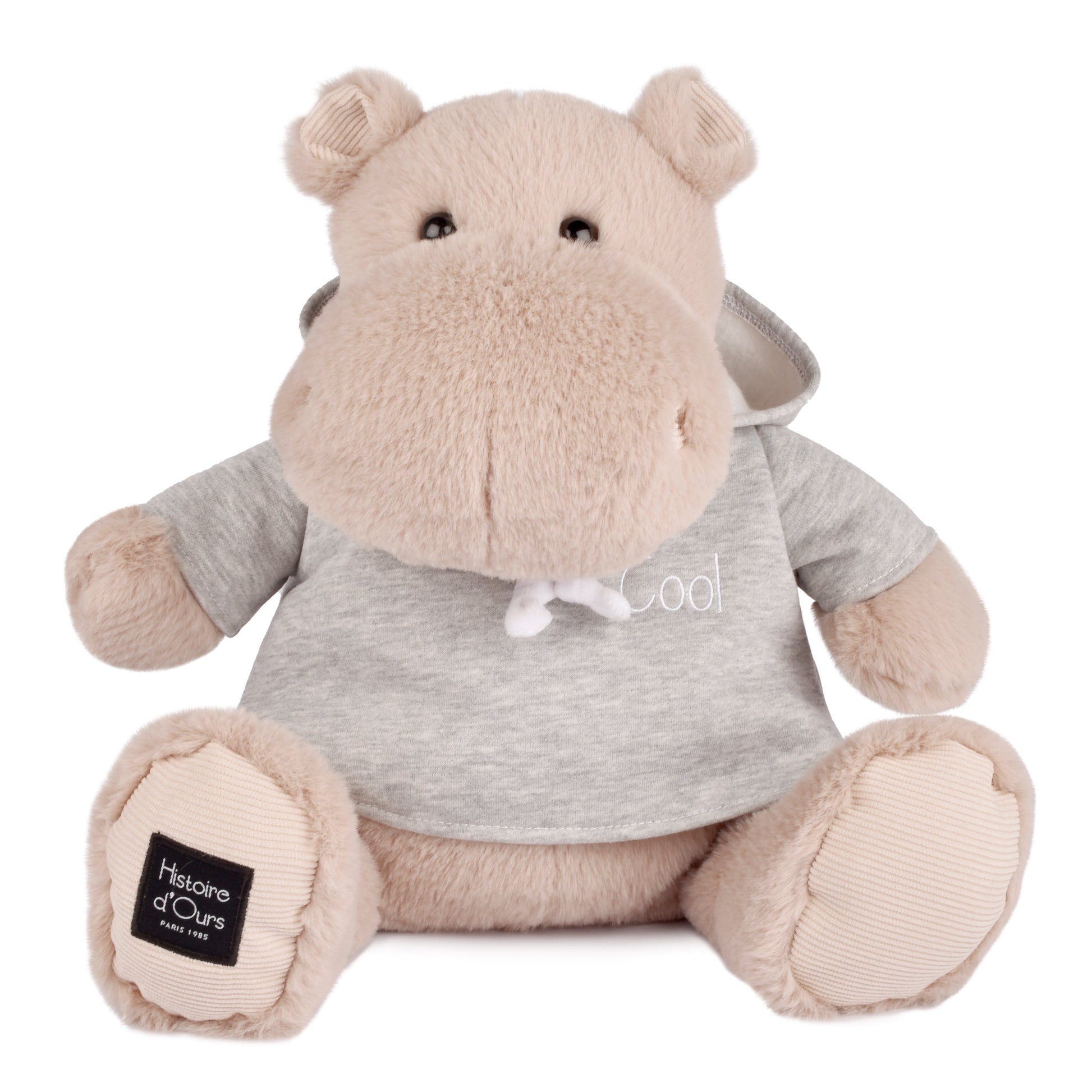 Histoire D’ours Hippo: Chilly Max