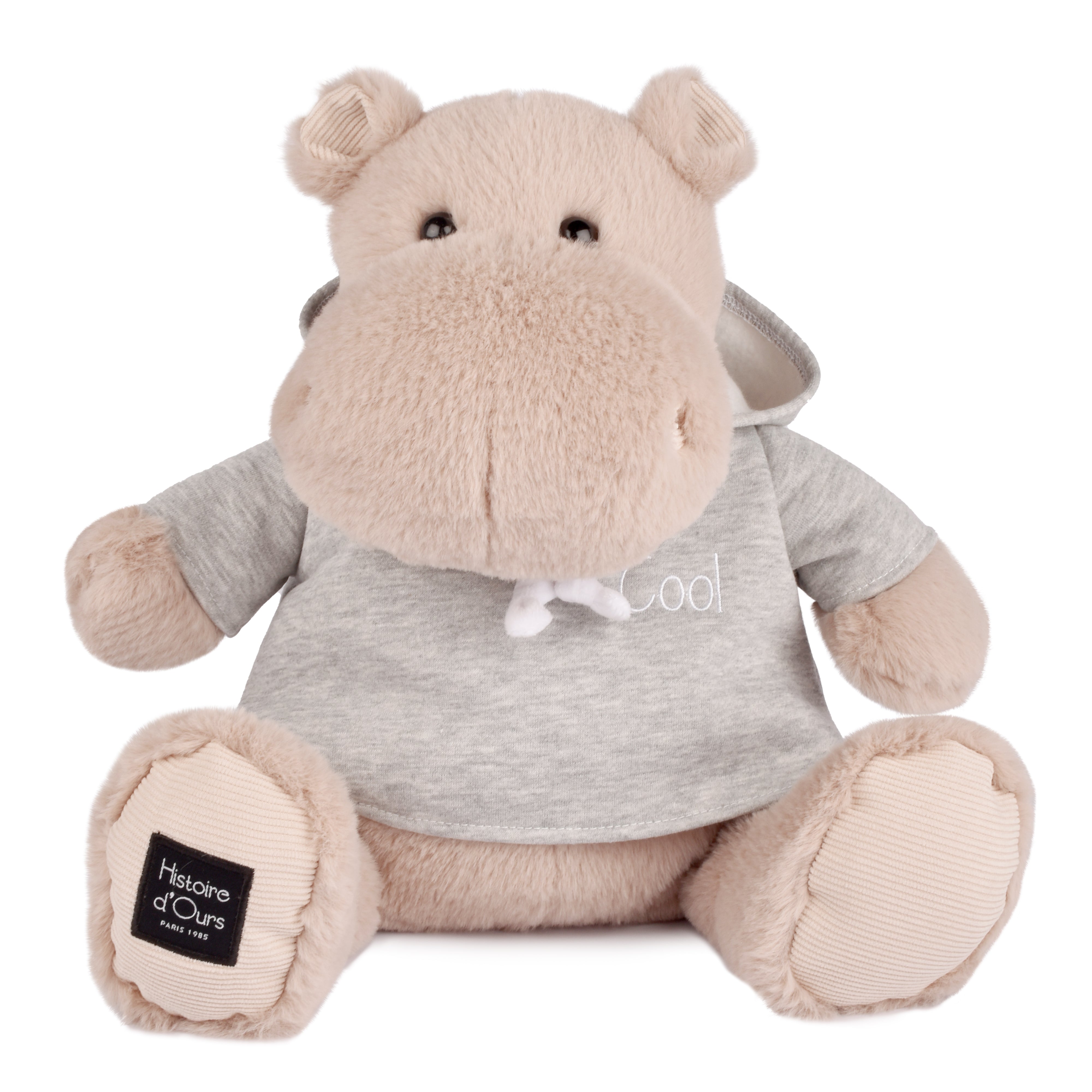 Histoire D’ours Hippo: Chilly Max
