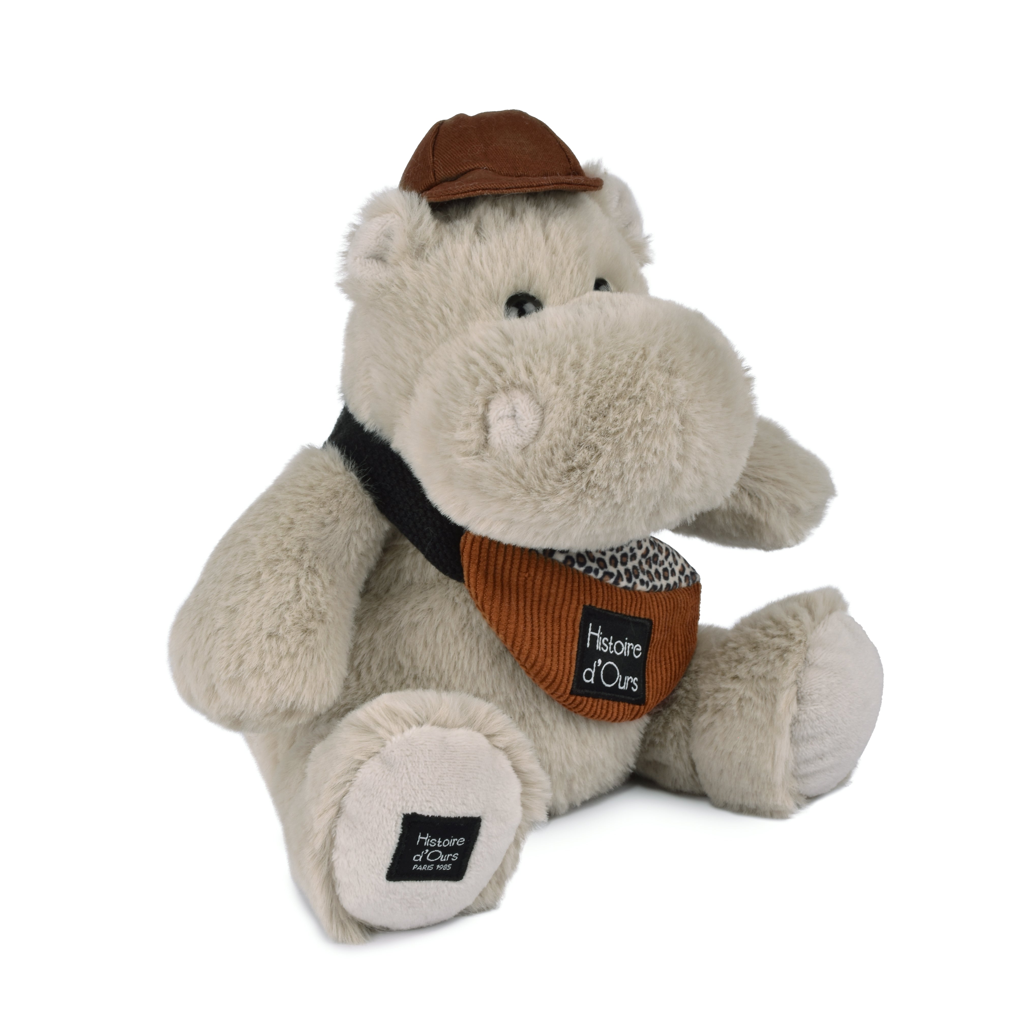 Histoire D’ours Hippo: Hello Brook