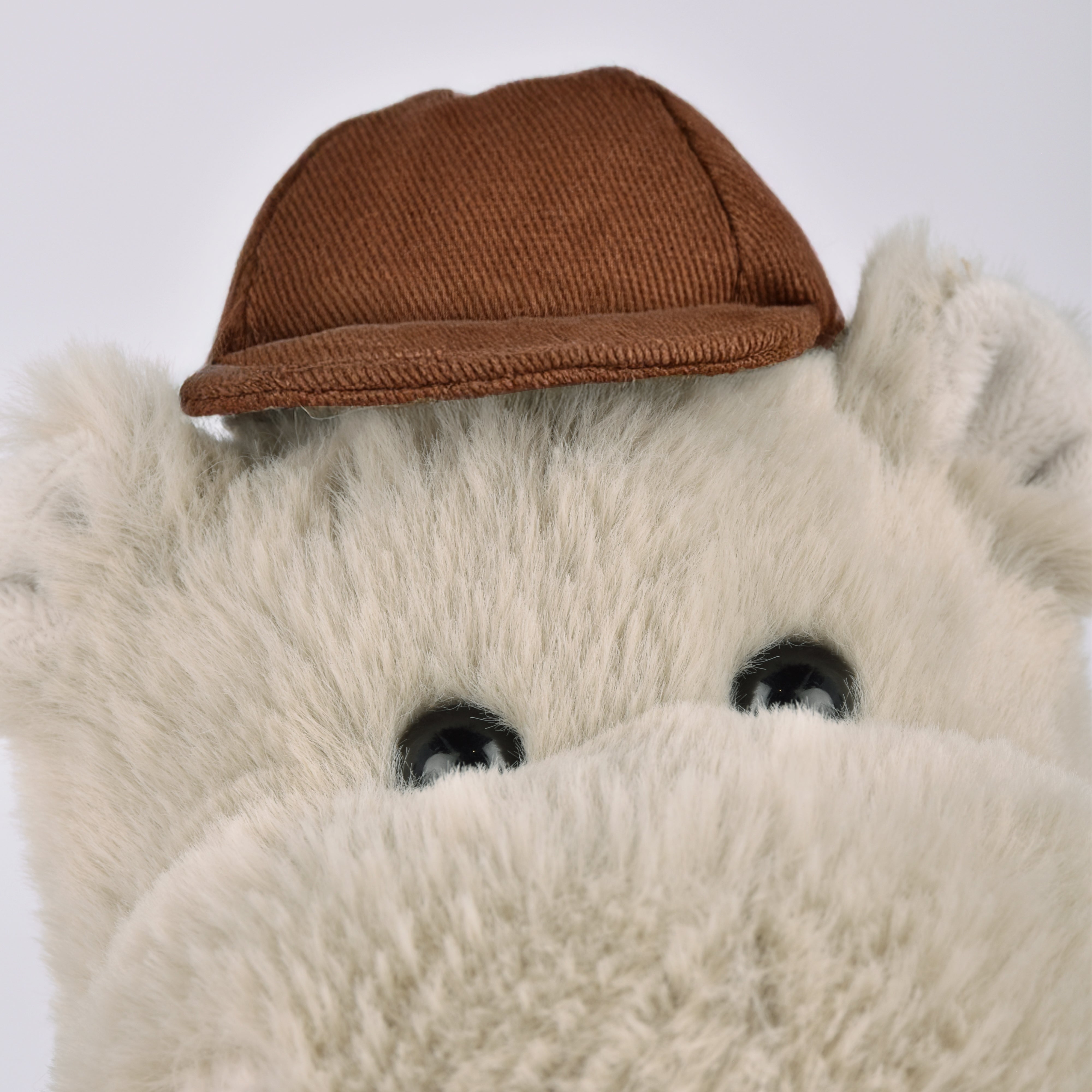 Histoire D’ours Hippo: Hello Brook