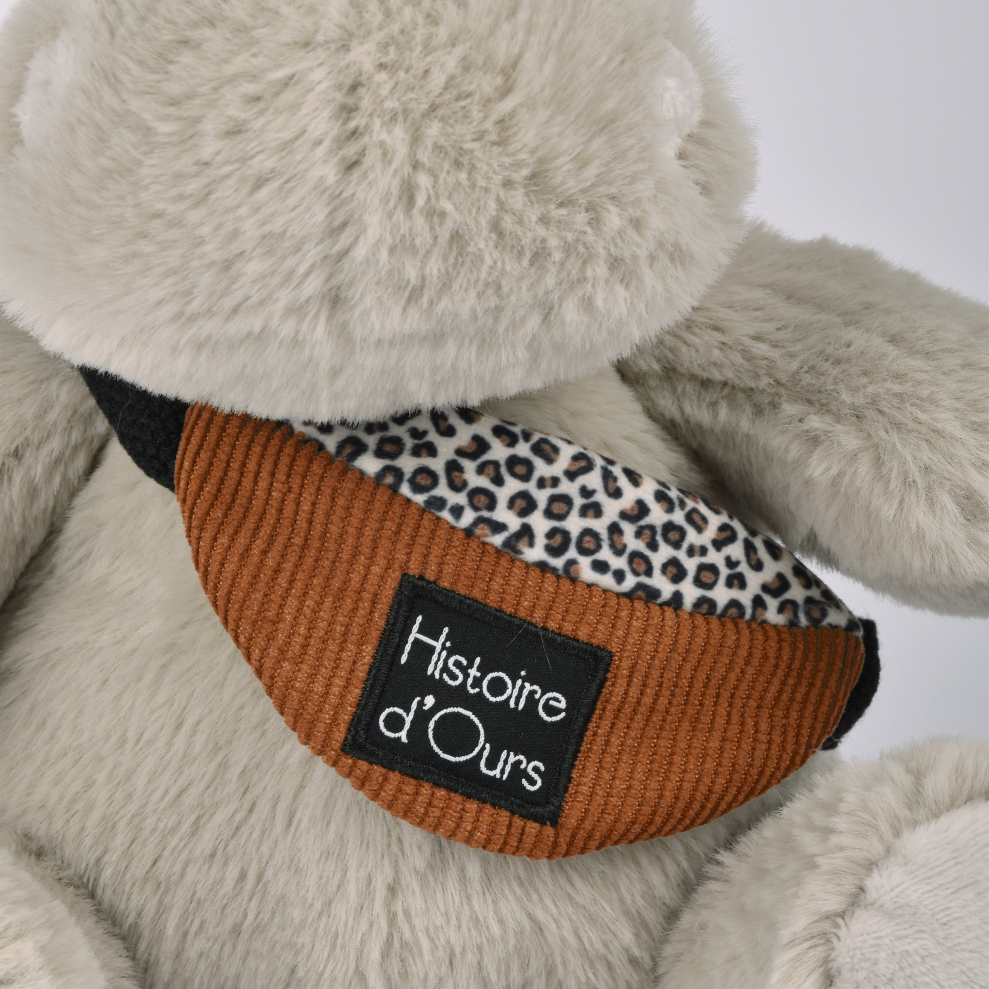 Histoire D’ours Hippo: Hello Brook