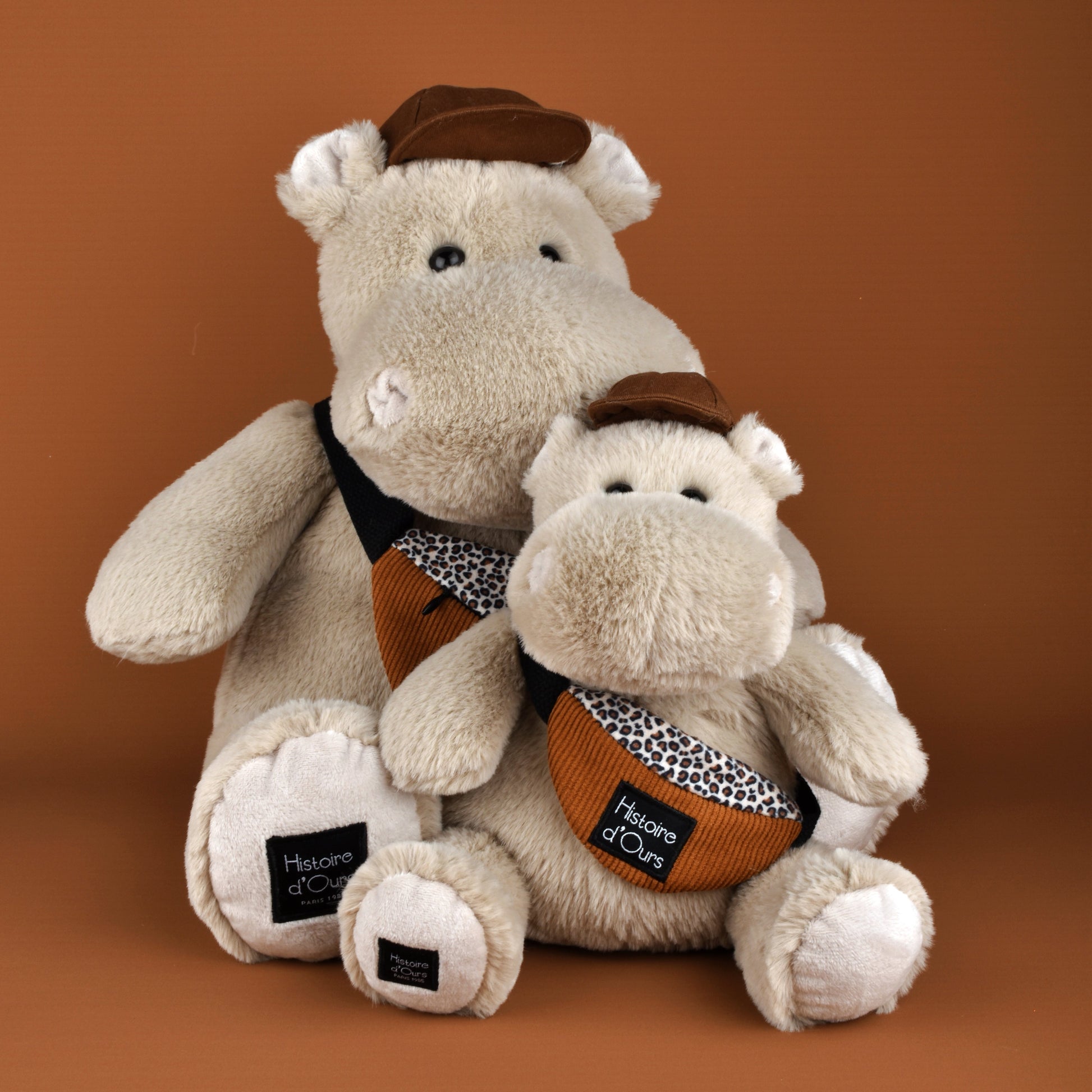 Histoire D’ours Hippo: Hello Brook