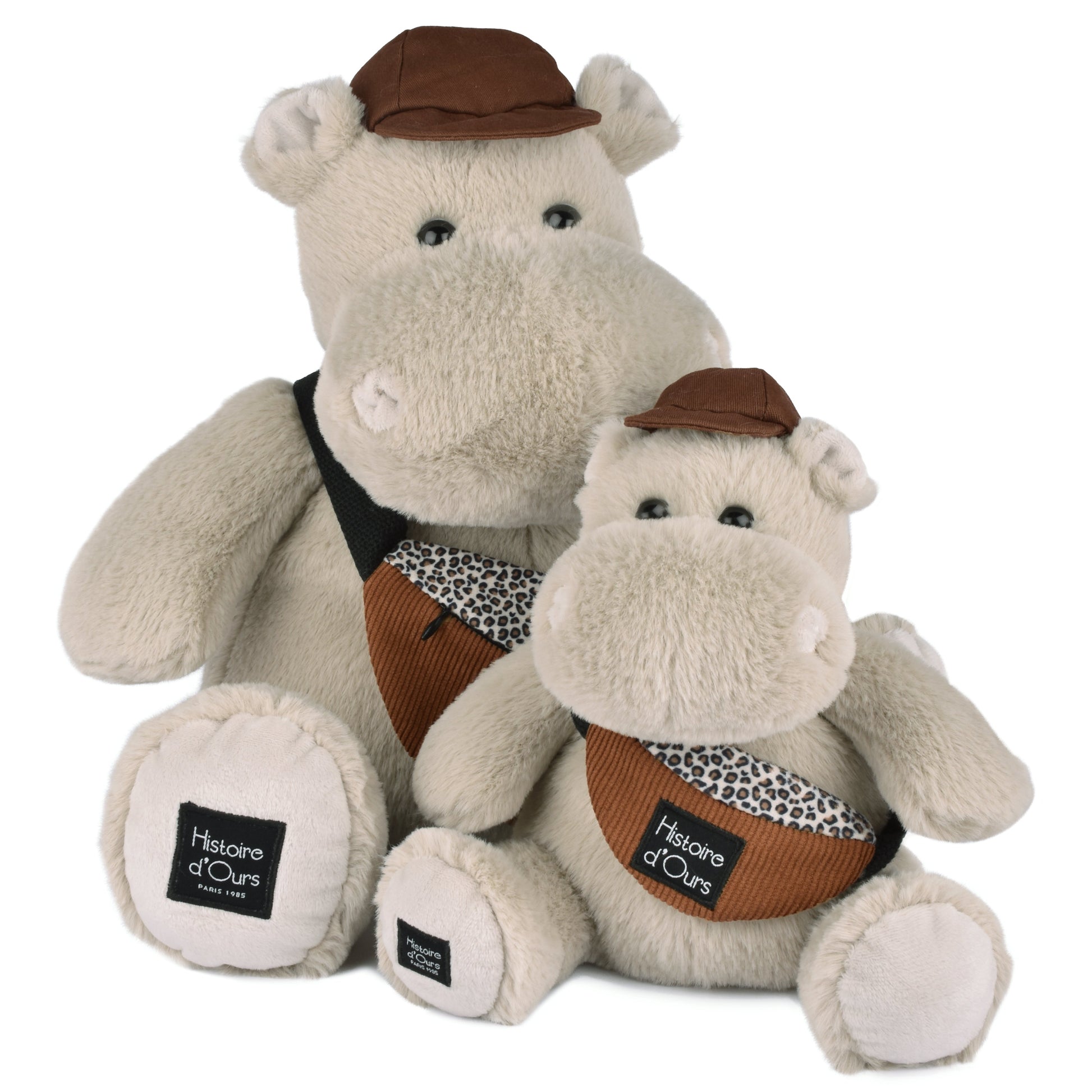 Histoire D’ours Hippo: Hello Brook
