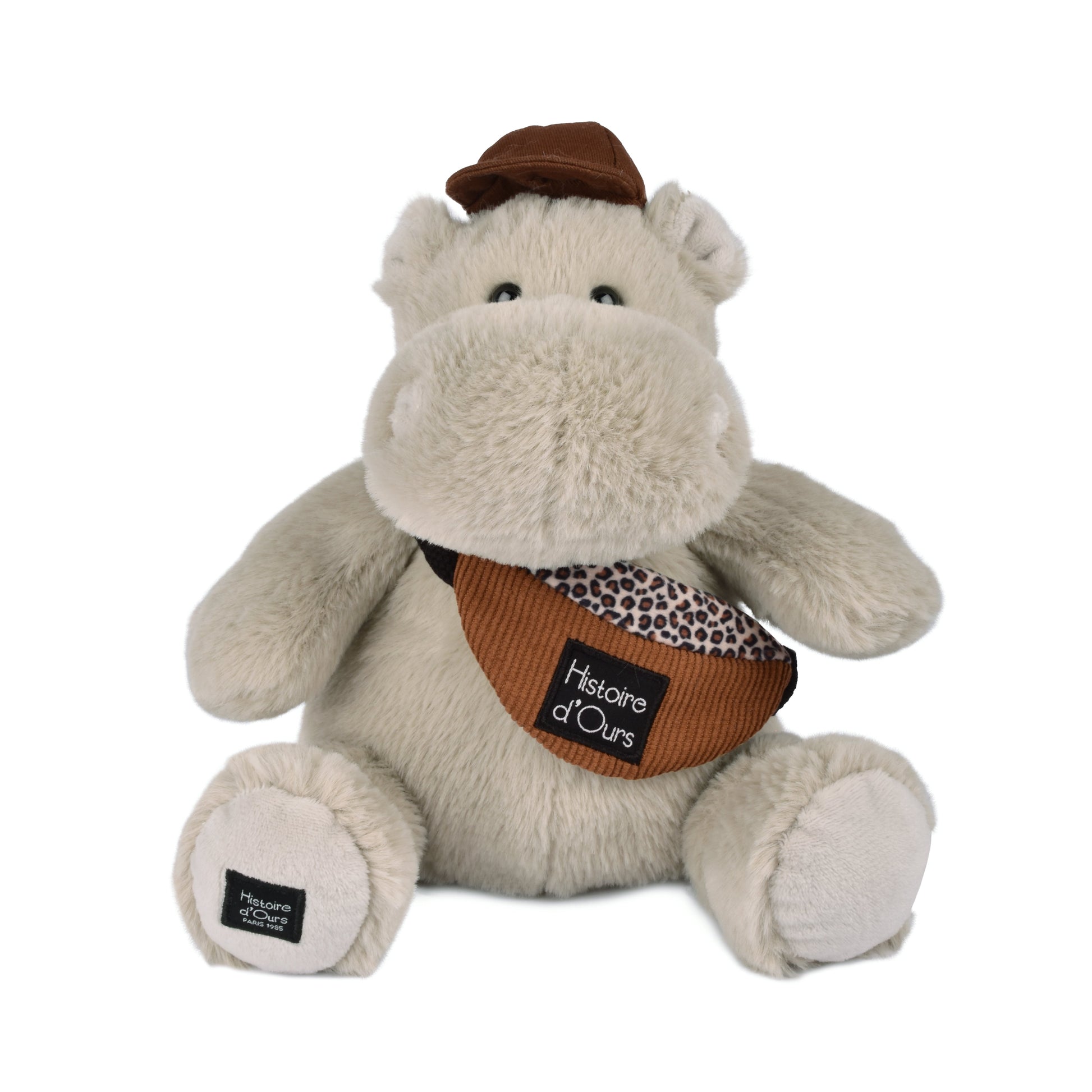 Histoire D’ours Hippo: Hello Brook