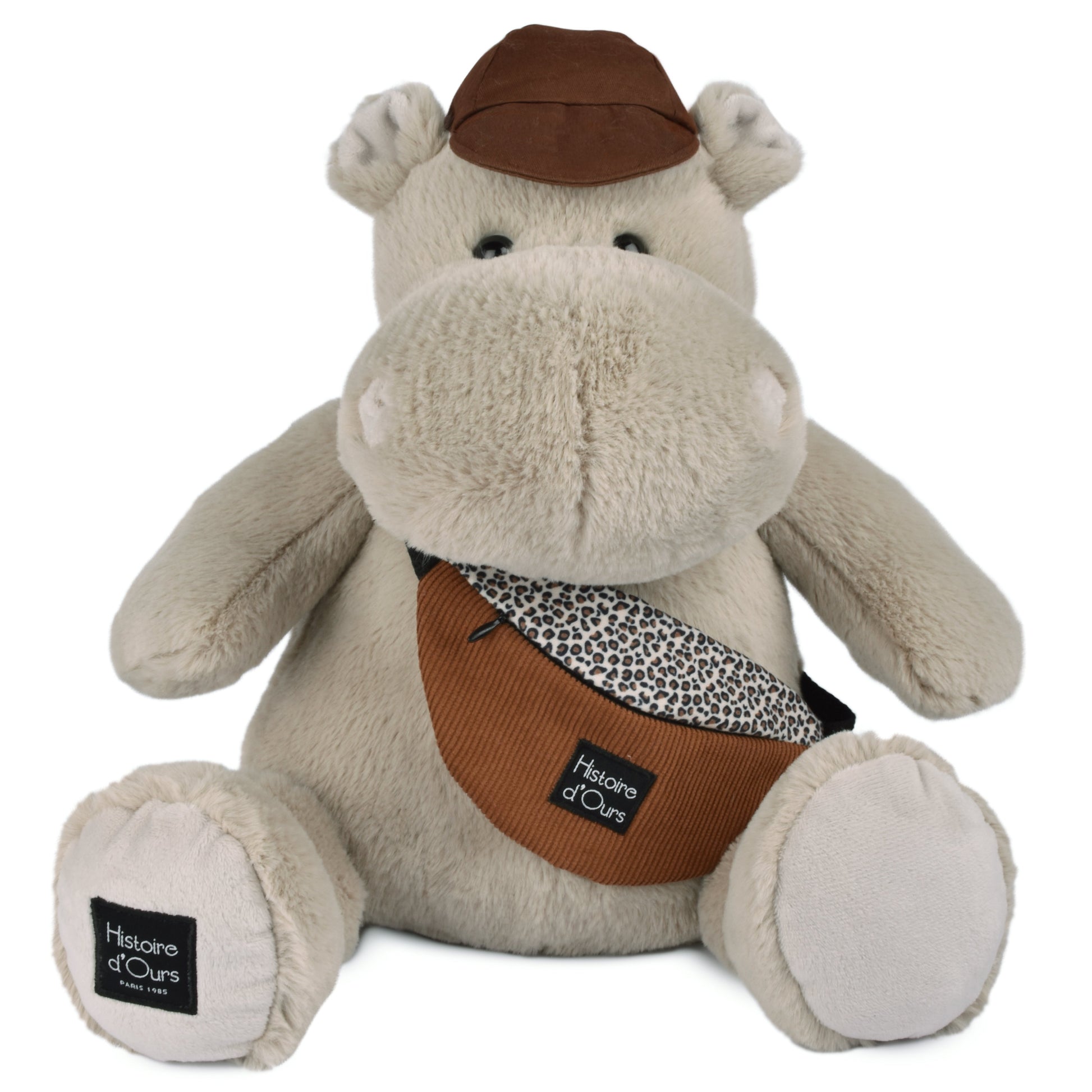 Histoire D’ours Hippo: Hello Brook