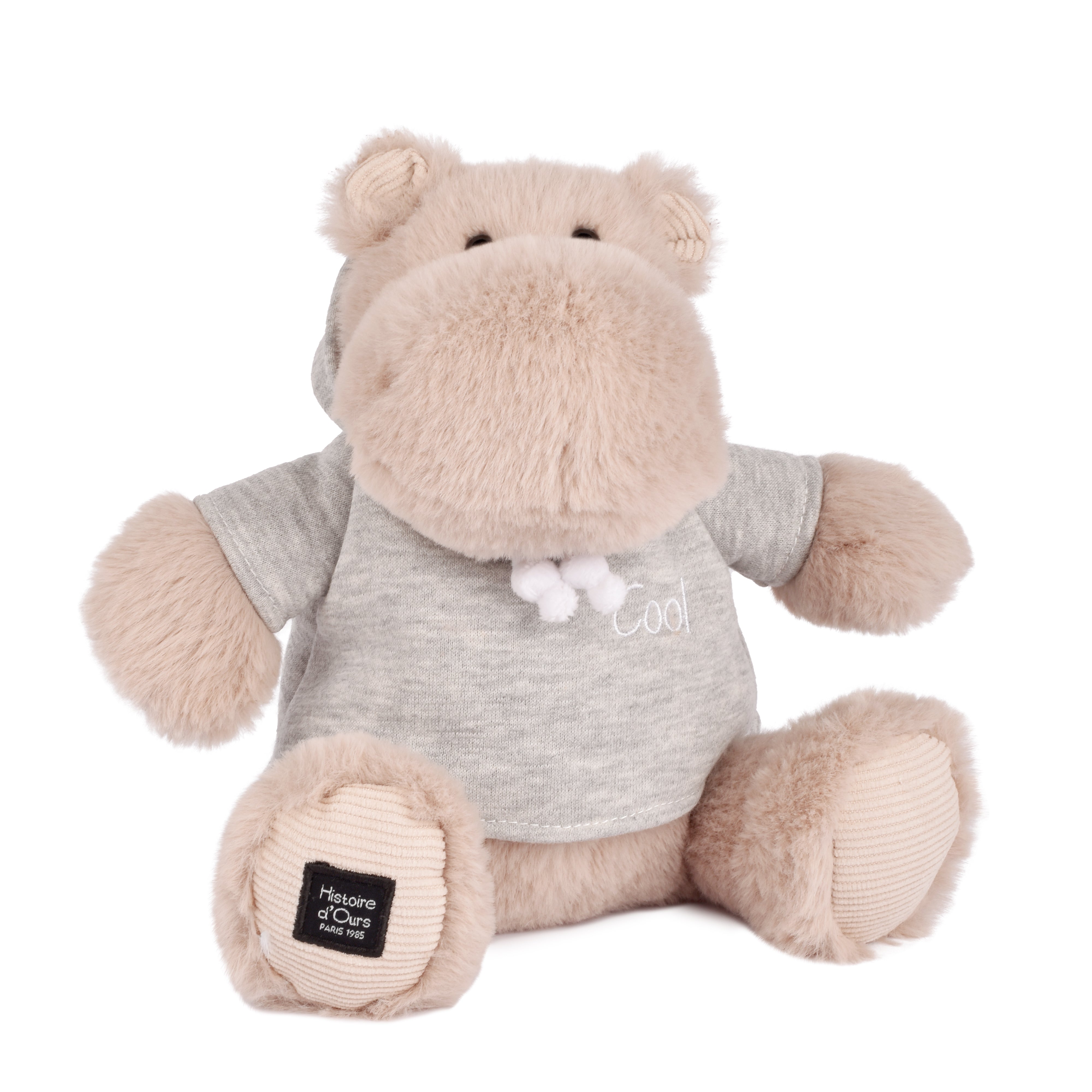 Histoire D’ours Hippo: Chilly Max