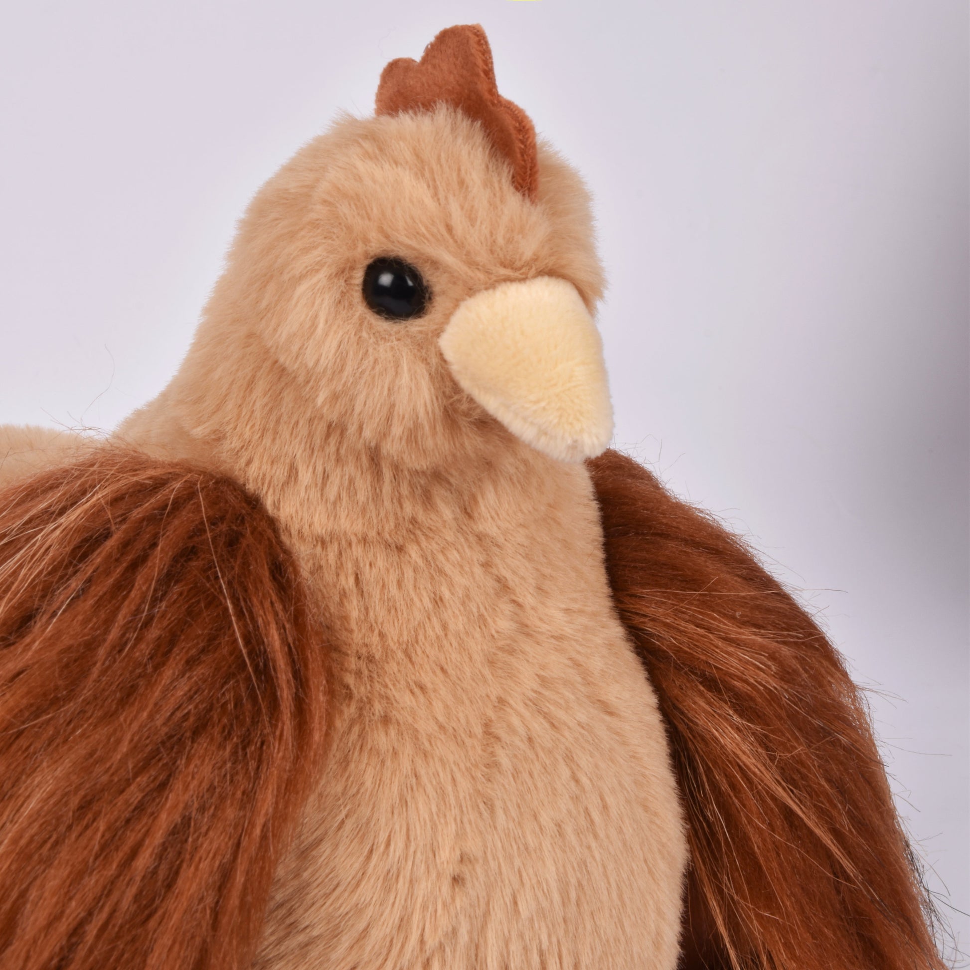 Histoire D’ours Little Hen Redhead