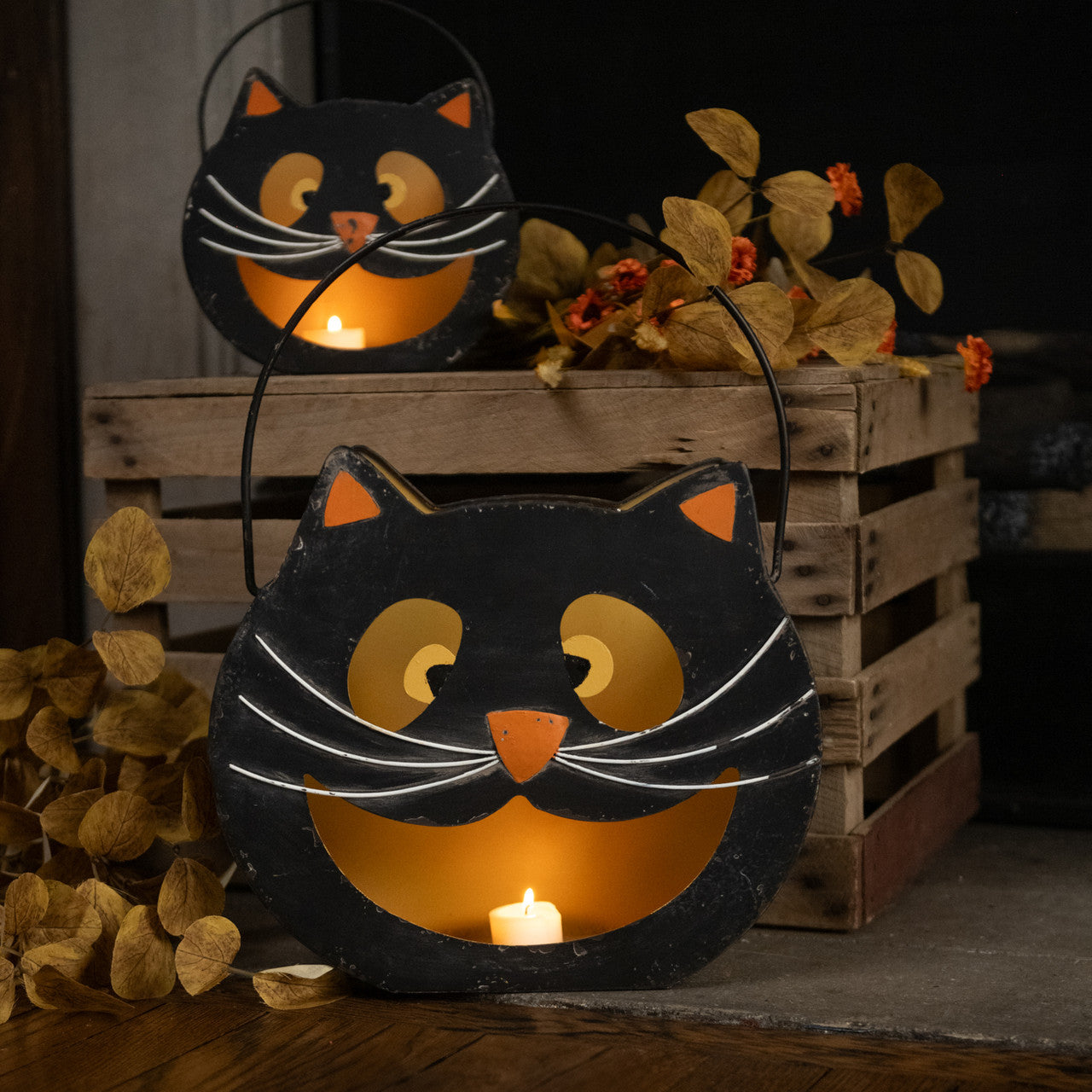 Vintage Black Cat Bucket