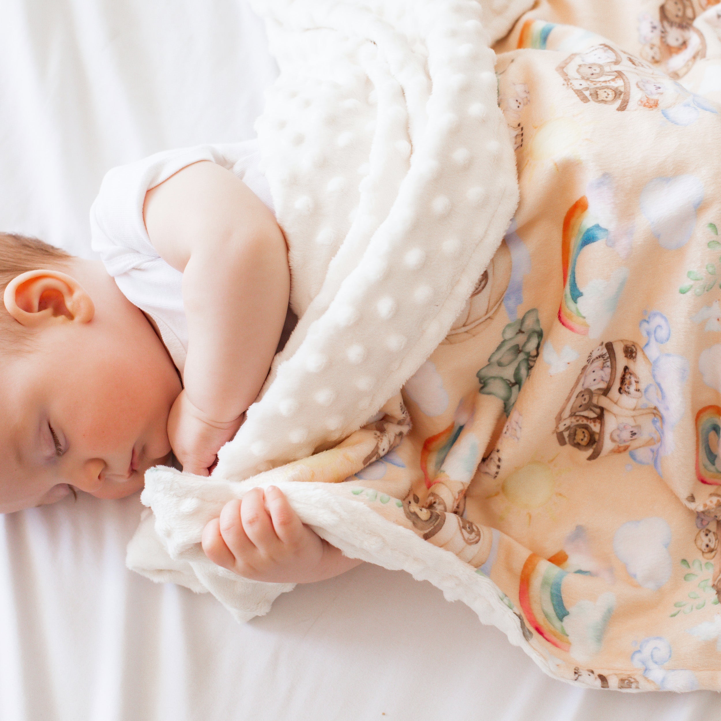 Noah's Ark Minky Baby Blanket