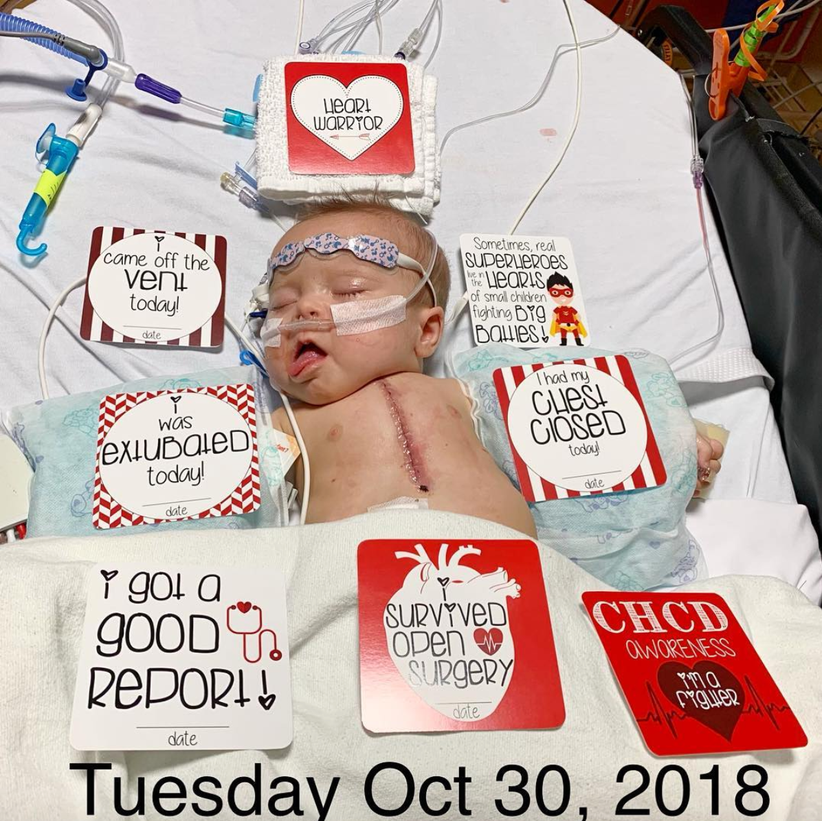 Chd Heart Warrior Plastic Moment Cards