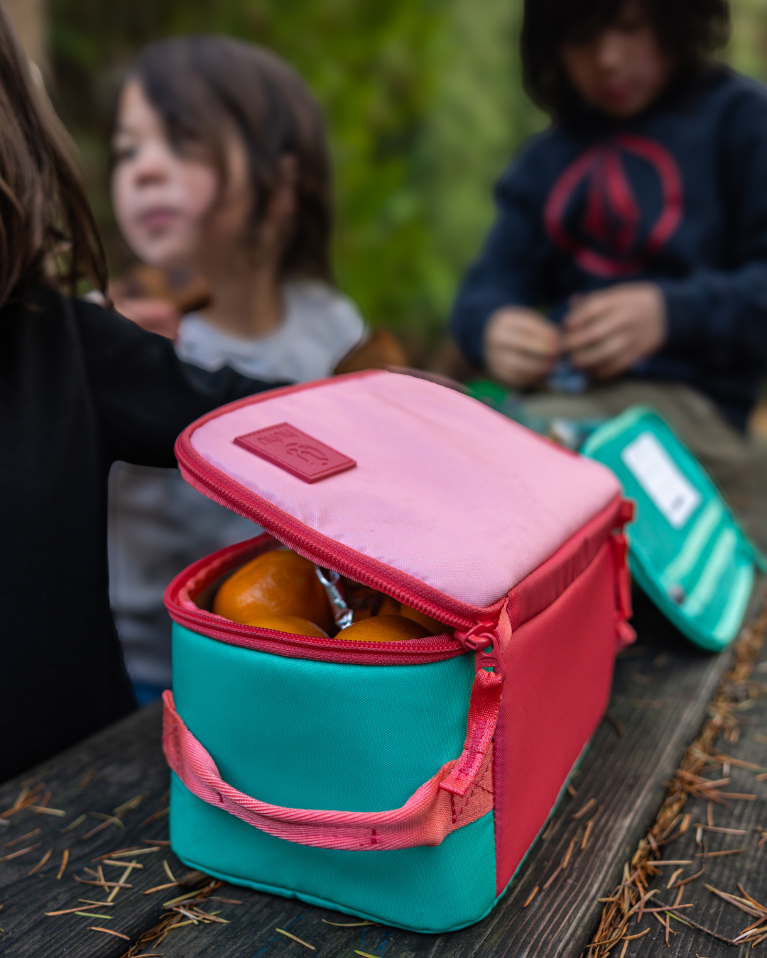 Insulated Cooler Bag / Strawberry Fields