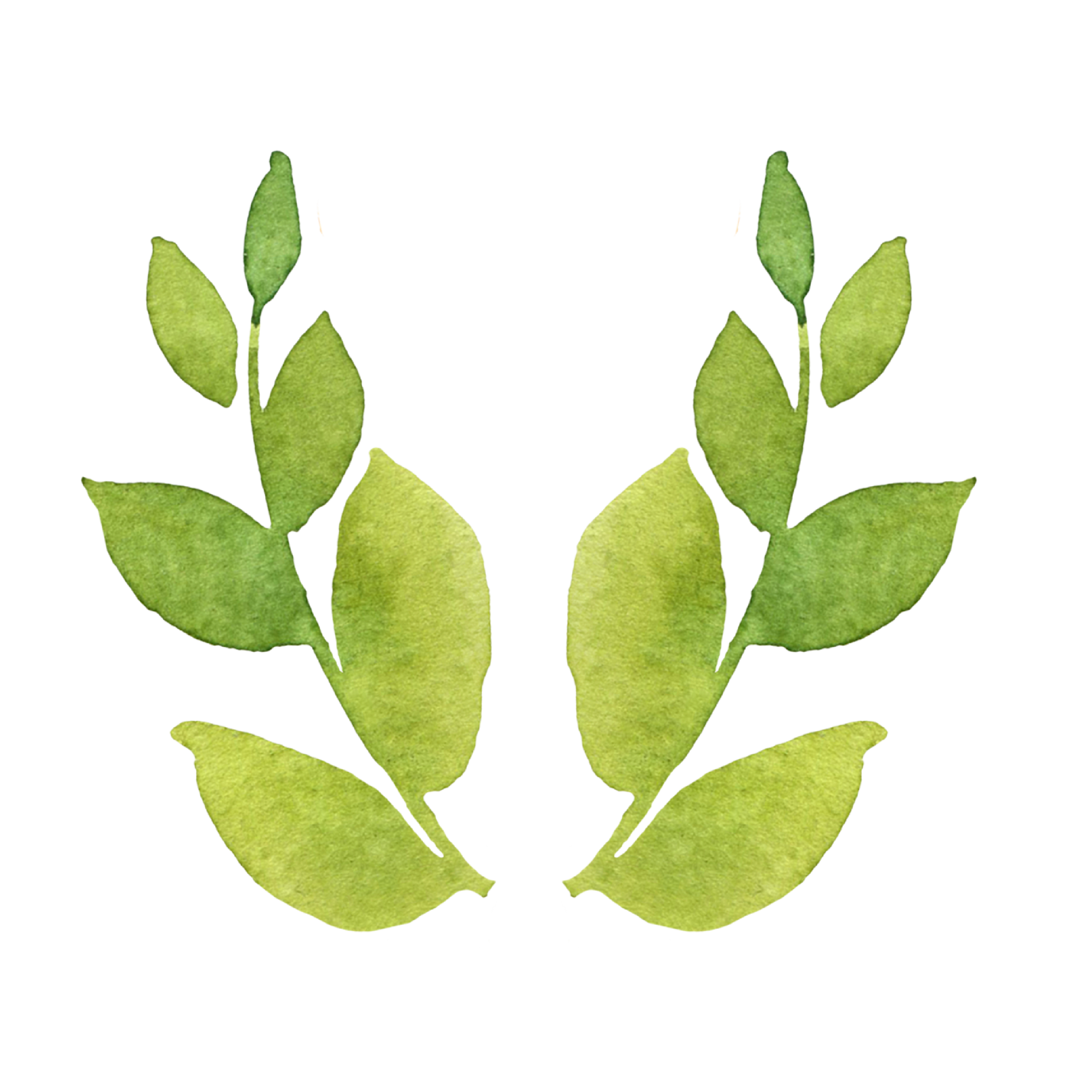 Watercolor Peaches And Leaves