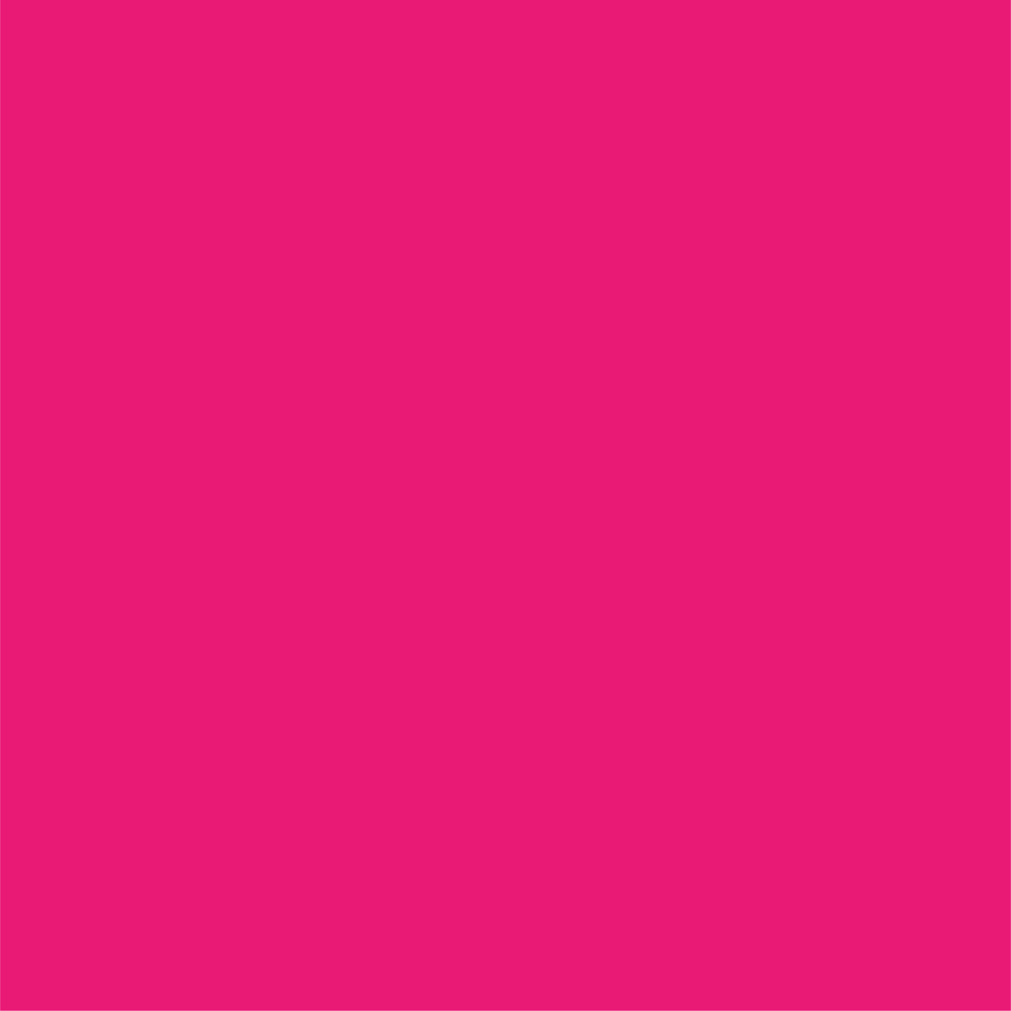 Hot Pink Classic Small Plates (10 Per Pack)