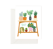 Houseplants