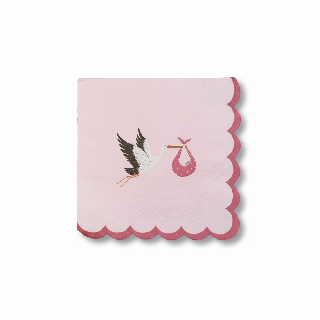 Baby Shower Pink Party Supplies In A Box